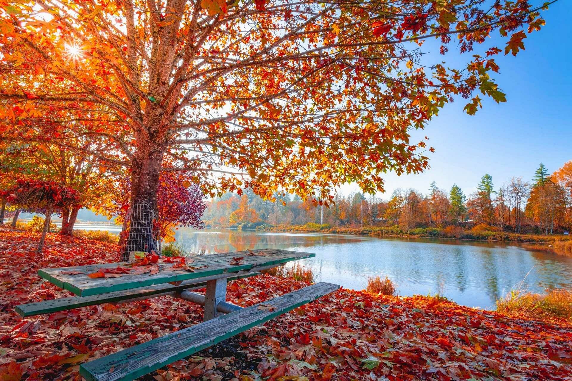 Autumn lake, Autumn Wallpaper, 1920x1280 HD Desktop