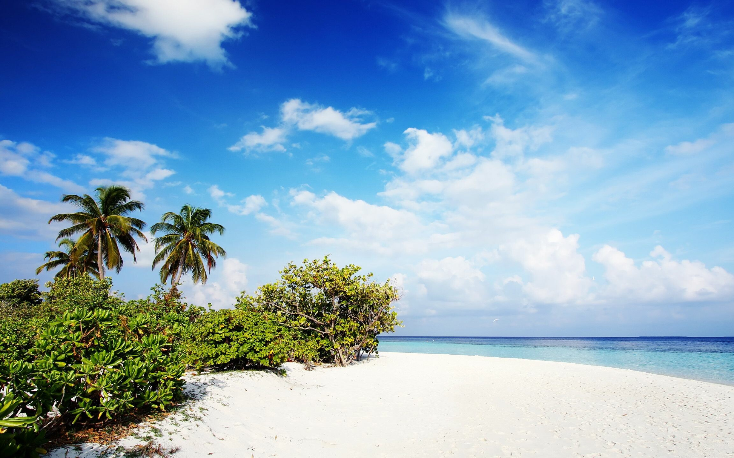 Nature's beaches, Coastal scenery, Tranquil shores, Sandy tranquility, 2560x1600 HD Desktop