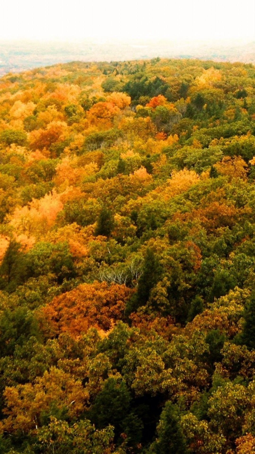 Indian summer, Autumn in Connecticut, Vibrant colors, Fall foliage, 1080x1920 Full HD Phone