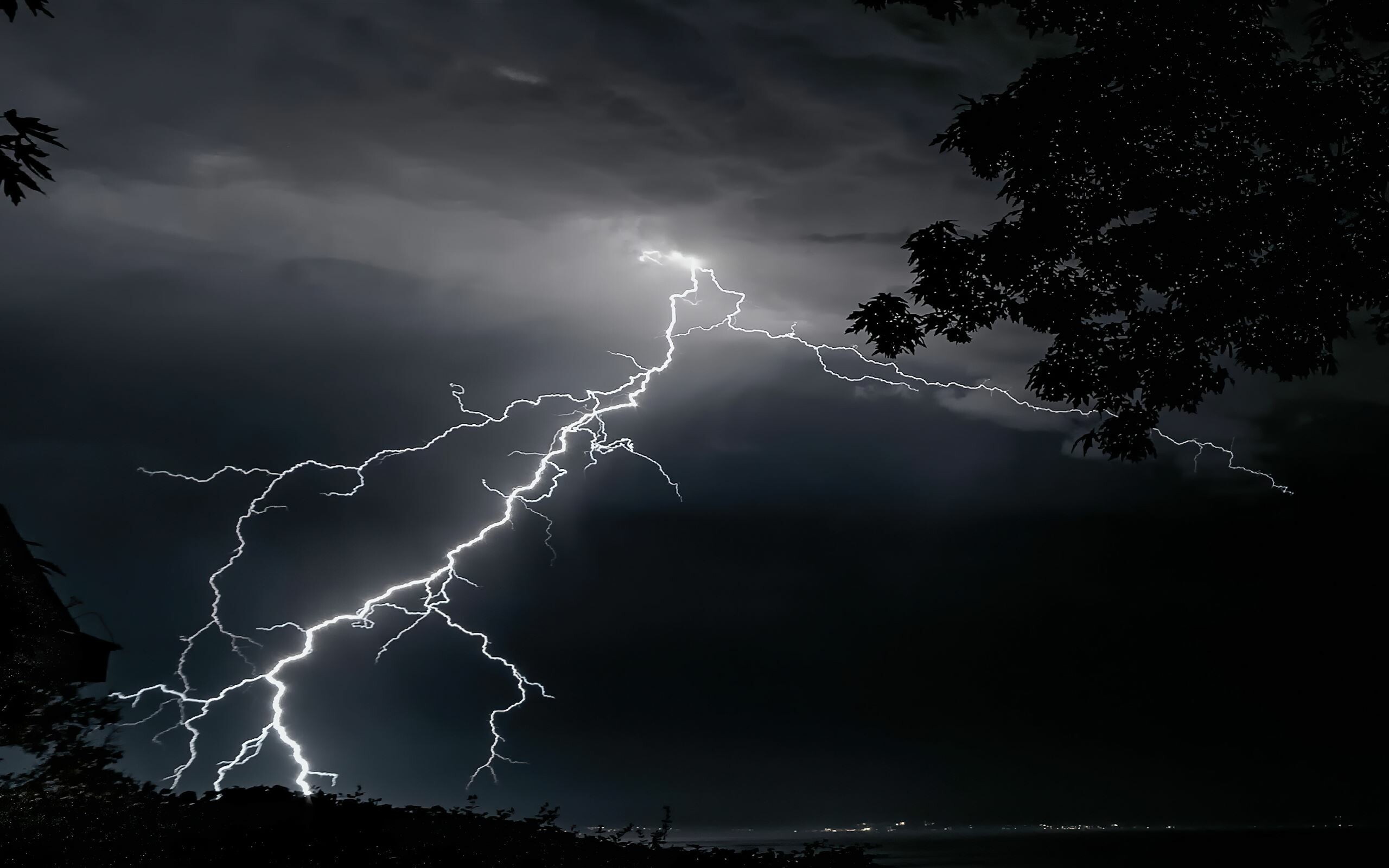 Lightning and trees, 4K wallpaper download, Captivating visuals, Nature's power, 2560x1600 HD Desktop