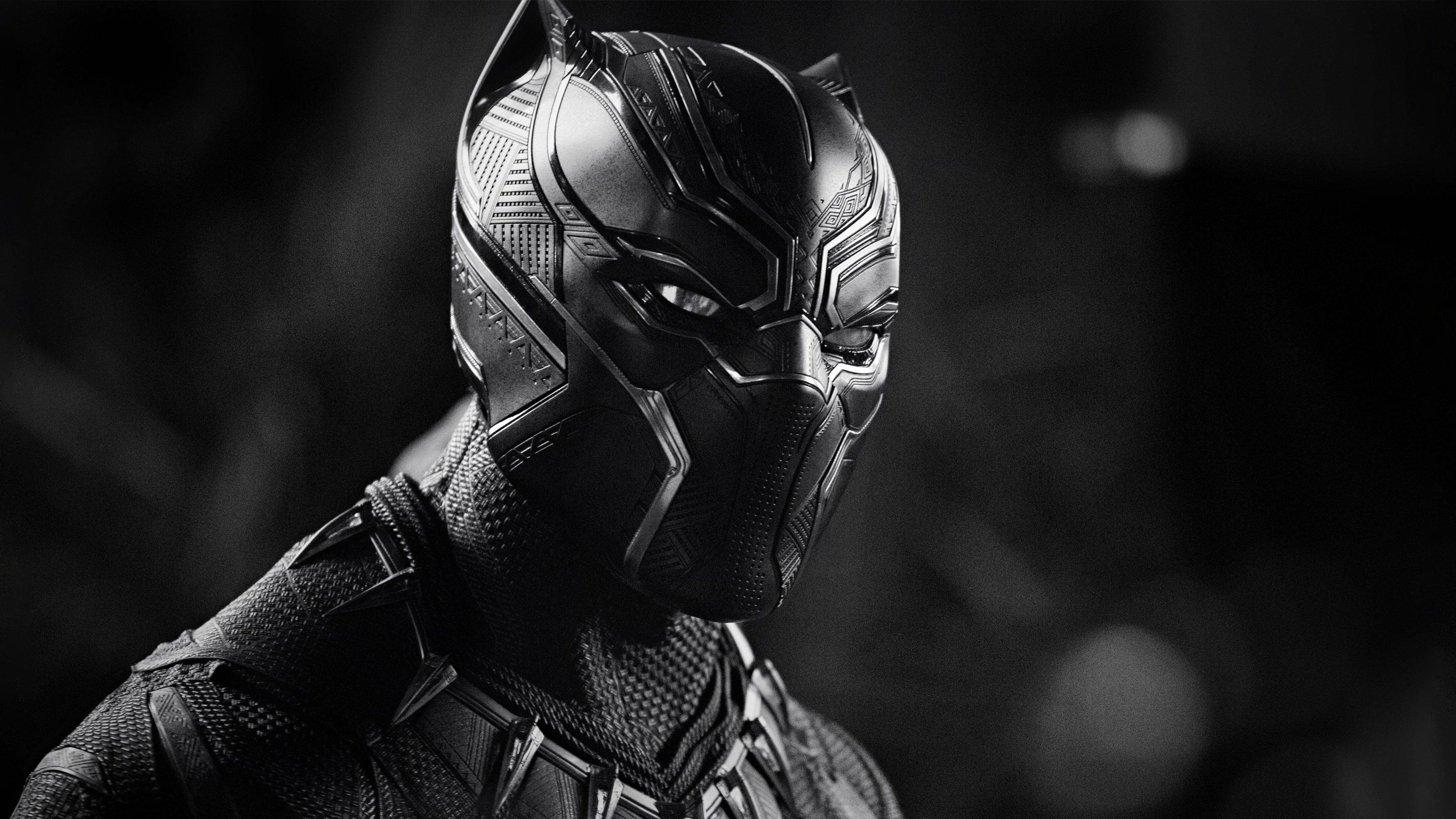 T'Challa, Black Panther, Chadwick Boseman, Marvel, 3840x2160 4K Desktop