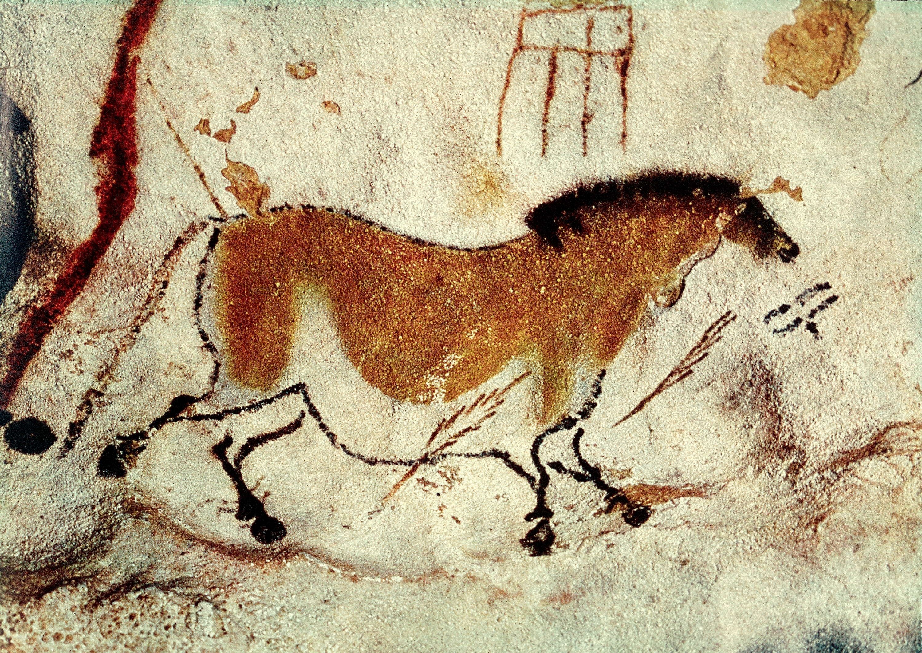 Yellow Horse, Lascaux (France) Wallpaper, 3000x2130 HD Desktop