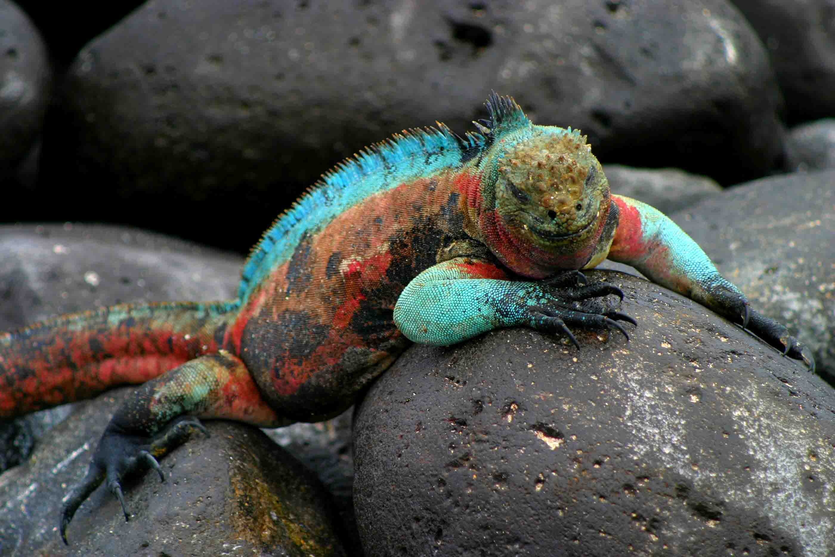 Galapagos Islands, HD wallpapers, 2800x1870 HD Desktop