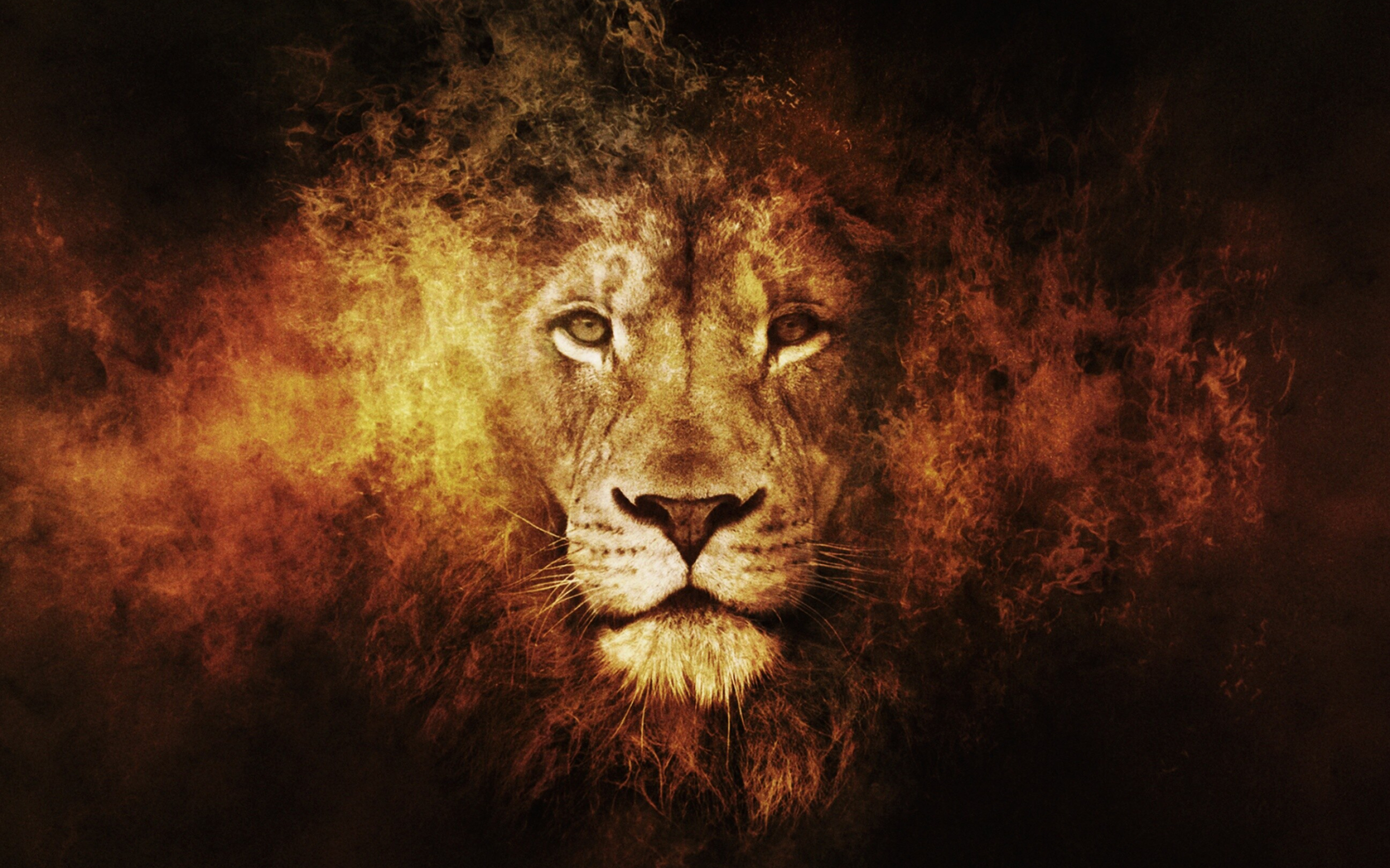 Lion desktop wallpaper, High-quality visuals, Stunning imagery, Captivating presence, 2880x1800 HD Desktop