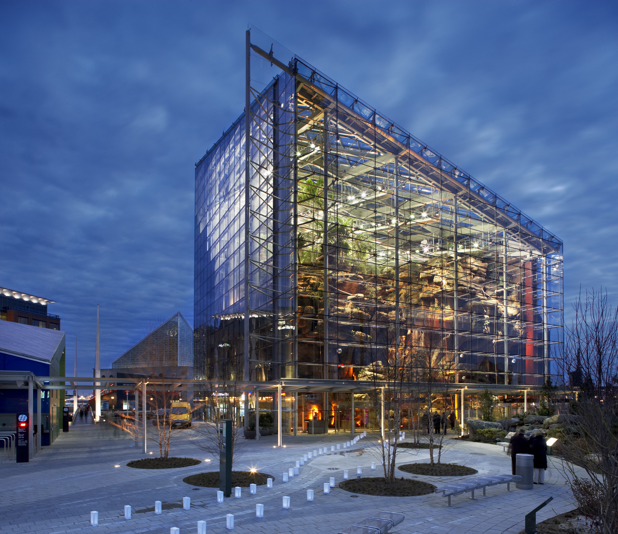 National Aquarium, Baltimore, Studioluk, Aquatic wonders, 2500x2160 HD Desktop