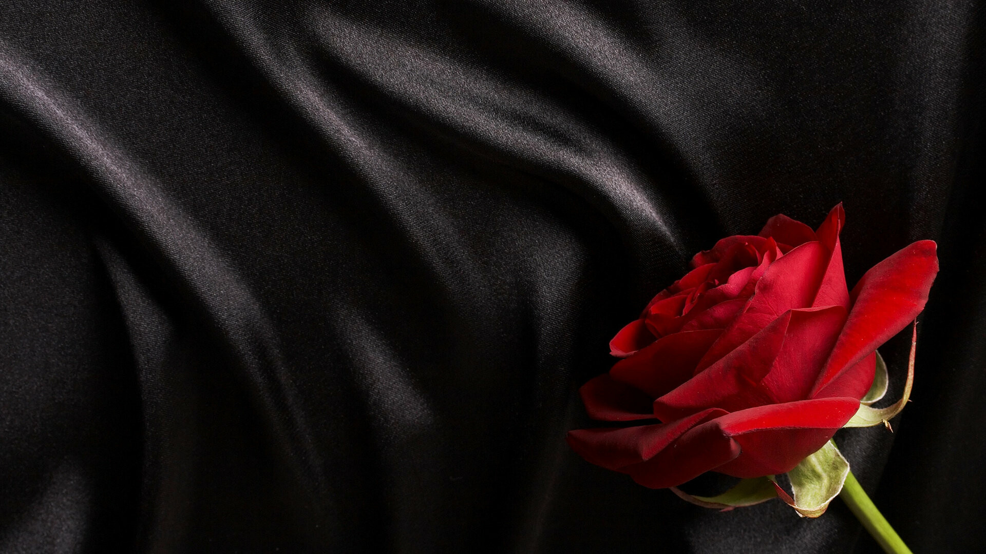 Rose wallpapers, Captivating beauty, Full HD 1080p, Desktop elegance, 1920x1080 Full HD Desktop