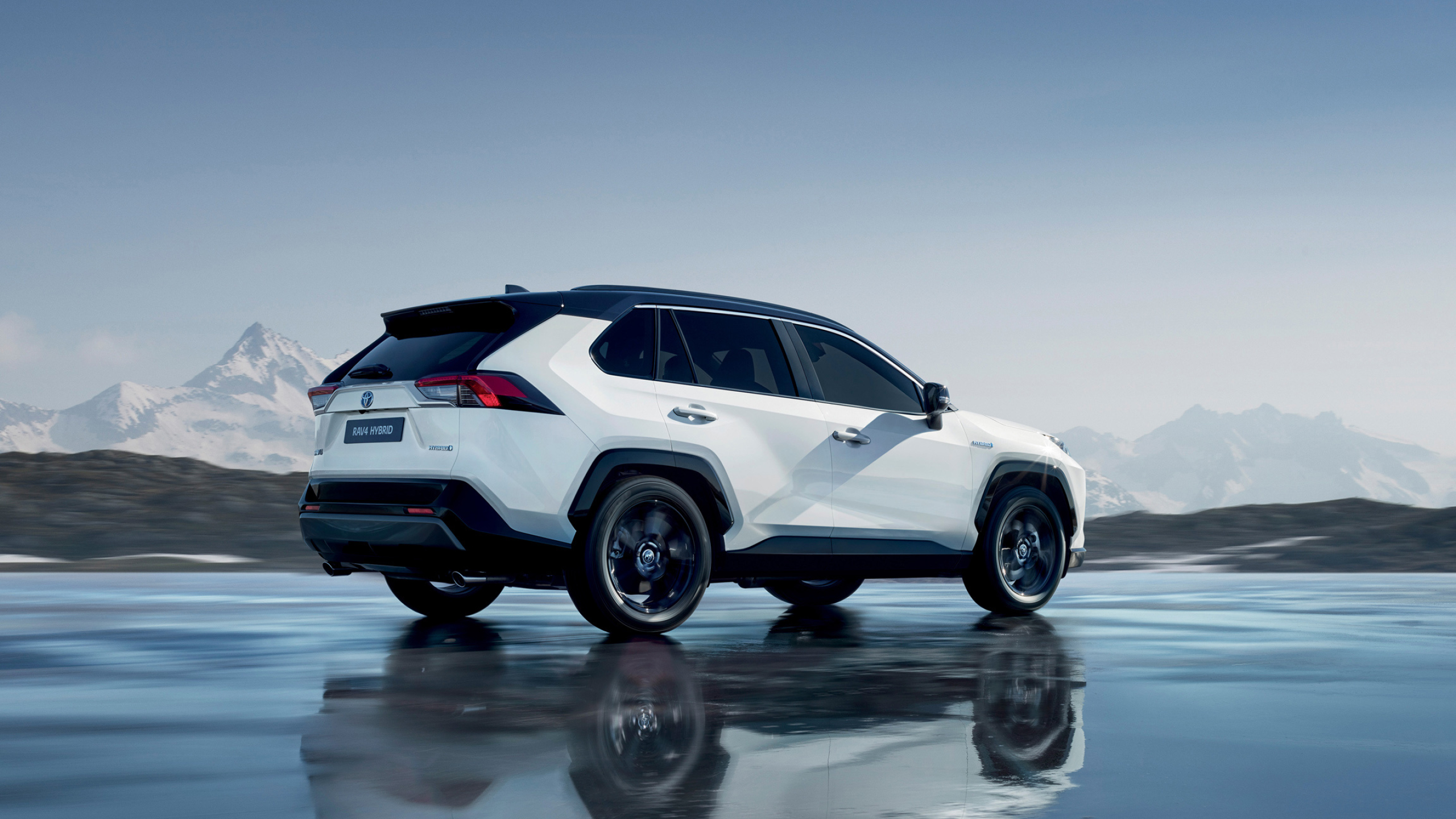 2019 Model Right Side, Toyota RAV4 Wallpaper, 2560x1440 HD Desktop