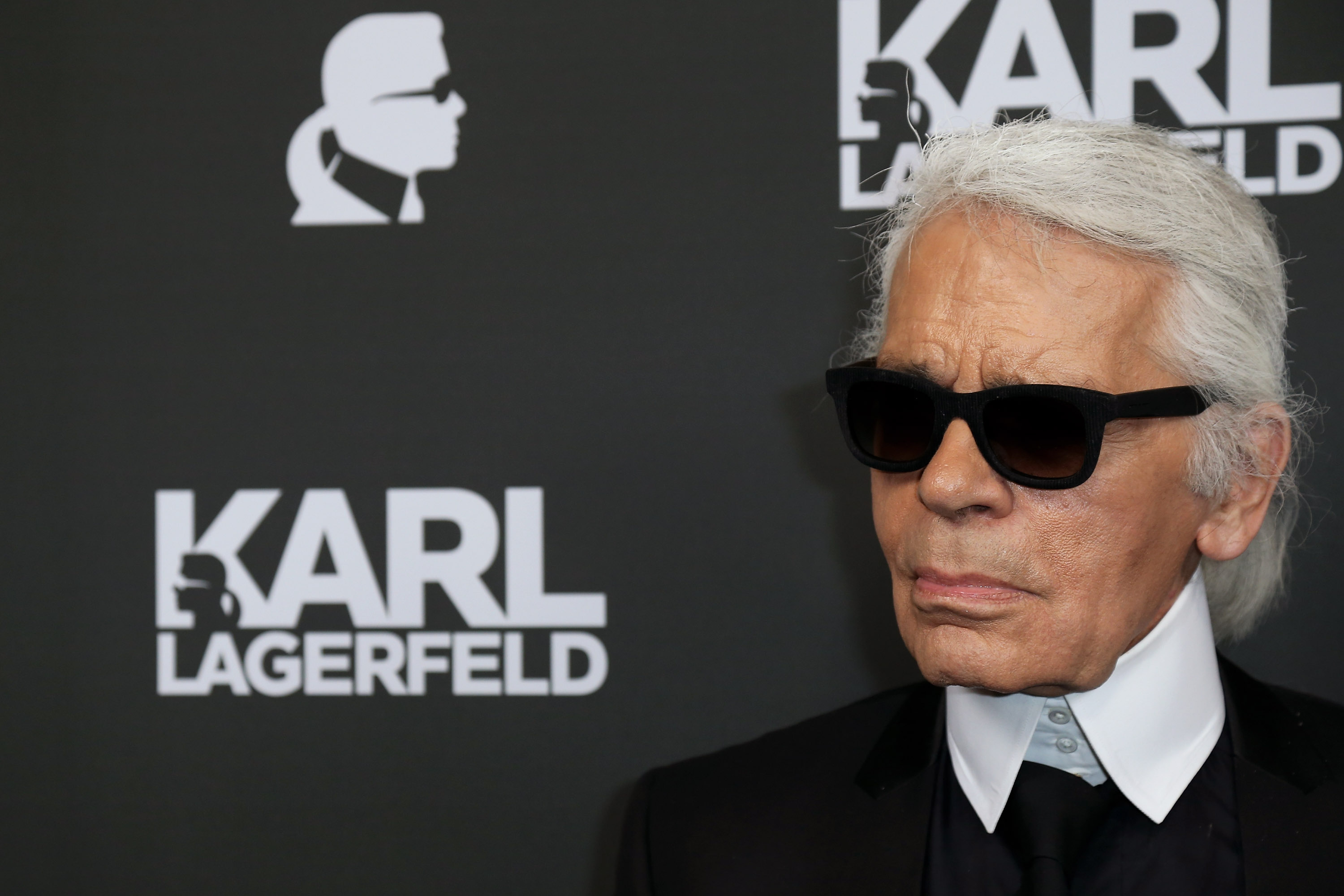 Karl Lagerfeld, Selfie opinions, Social media trend, 3000x2010 HD Desktop