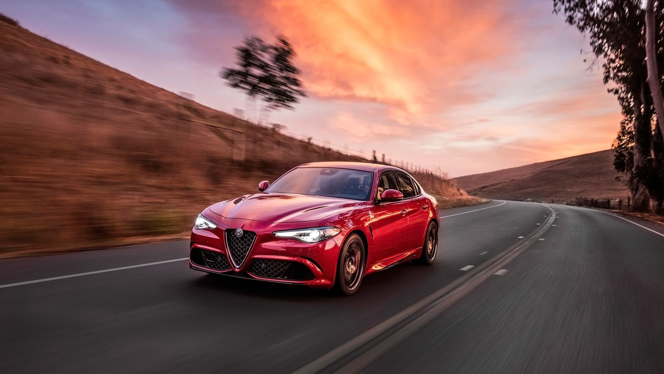 Speed, Alfa Romeo Wallpaper, 2560x1440 HD Desktop