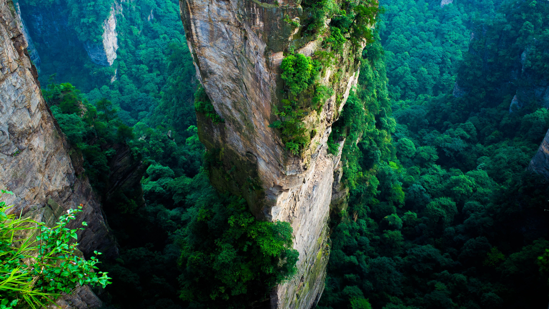 Zhangjiajie Travels, Zhangjiajie wallpaper, Forest park, Petrfied Forest, 1920x1080 Full HD Desktop