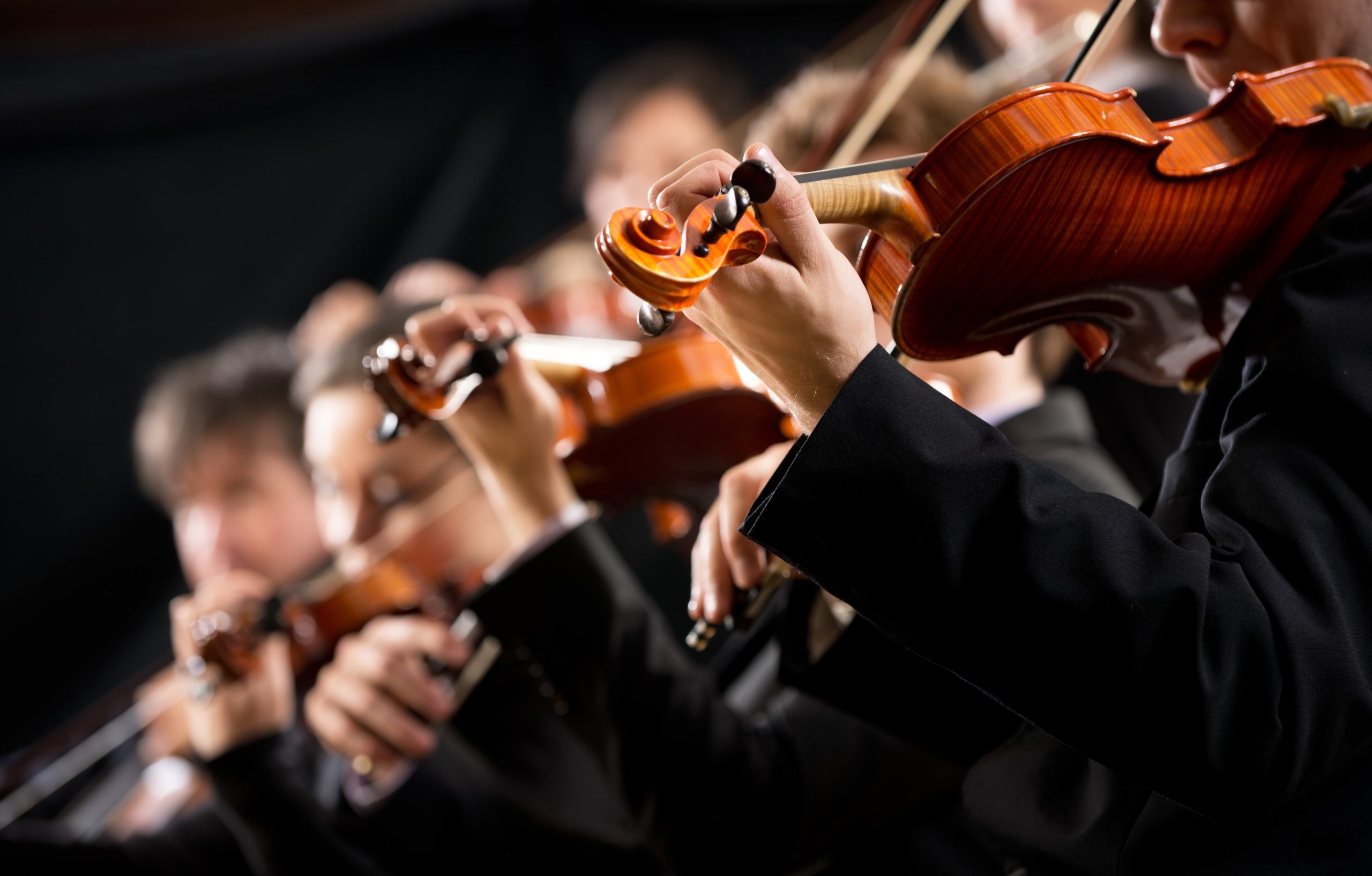 Symphony orchestra, Violin section, Captivating performance, Vibrant red background, 2560x1640 HD Desktop