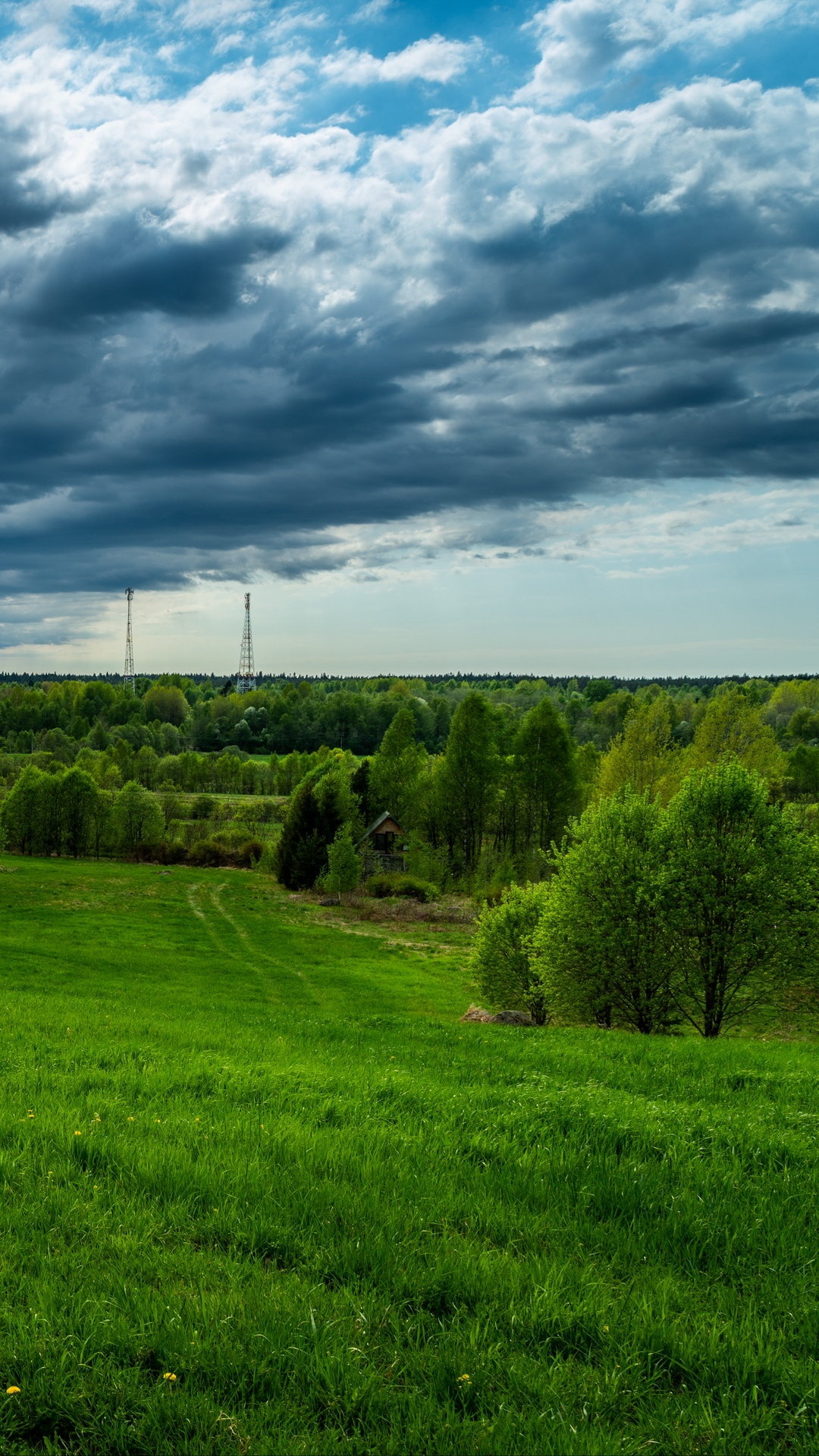 Thunderstorm clouds, Grass and Sky Wallpaper, 1080x1920 Full HD Phone