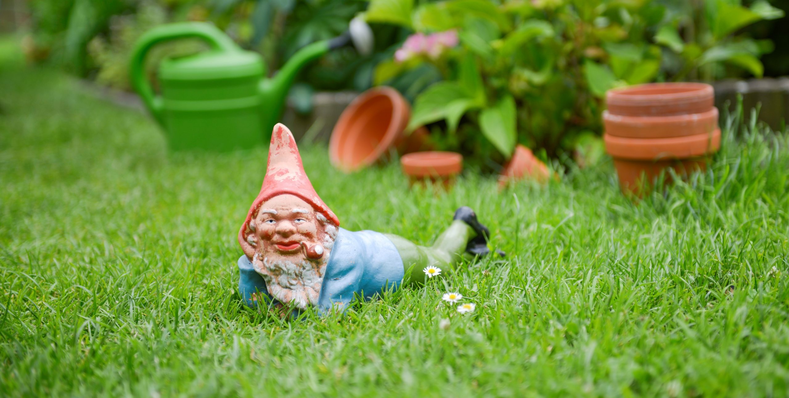 Garden gnome, Elusive creature, Enchanted folklore, Mysterious presence, 2560x1290 HD Desktop