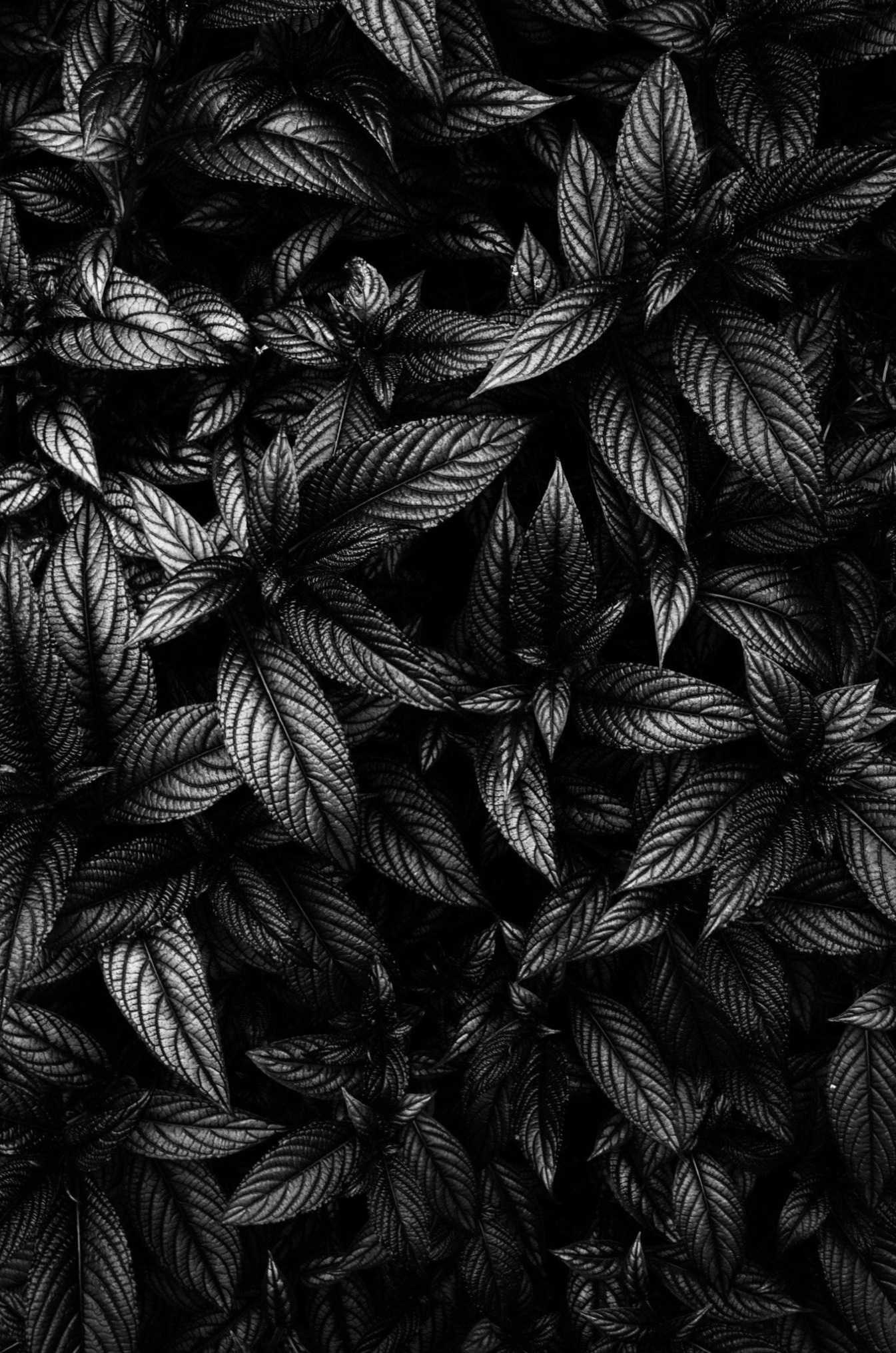 Matte Black, Matte black background wallpaper, Sun wallpaper, Wallpaper, 1350x2040 HD Phone