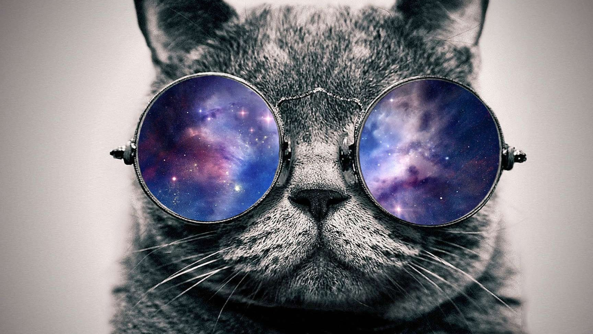 Glasses, Galaxy Cat Wallpaper, 1920x1080 Full HD Desktop