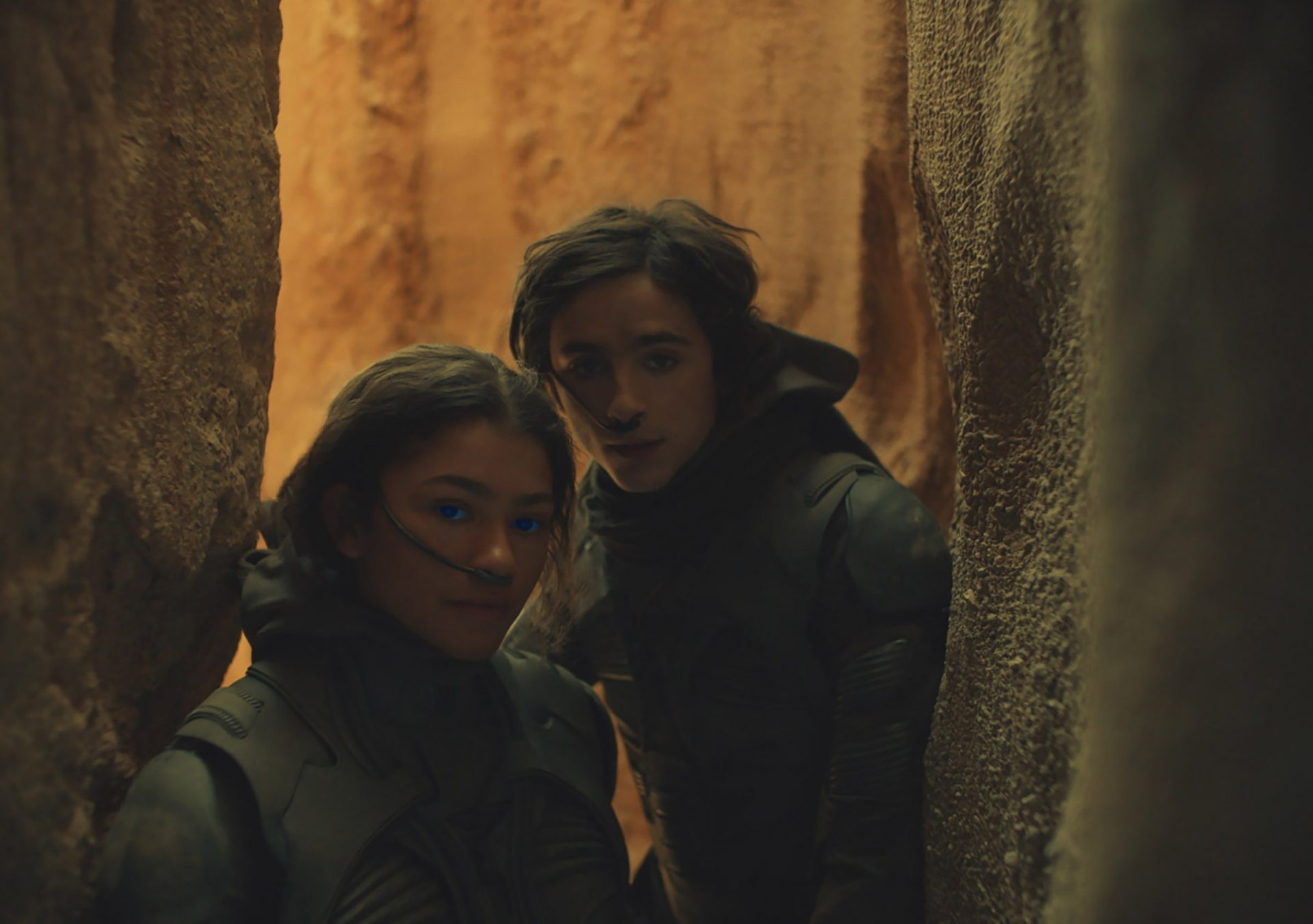 Chani, Dune movie, Paul and Chani, Nerdist exclusive, 1920x1360 HD Desktop