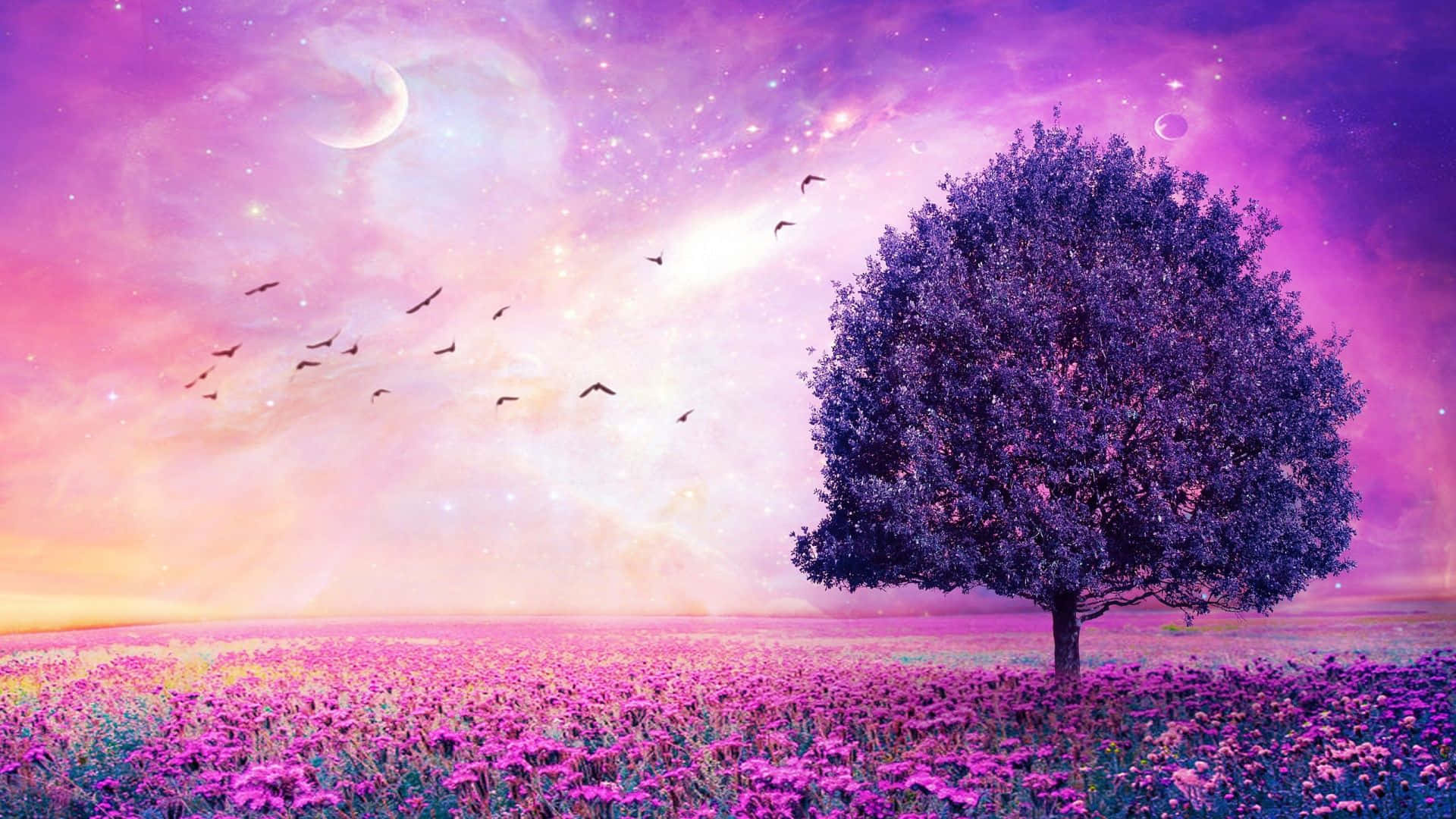 Purple tones, Pastel aesthetics, Color harmony, Stylish, Modern, 1920x1080 Full HD Desktop