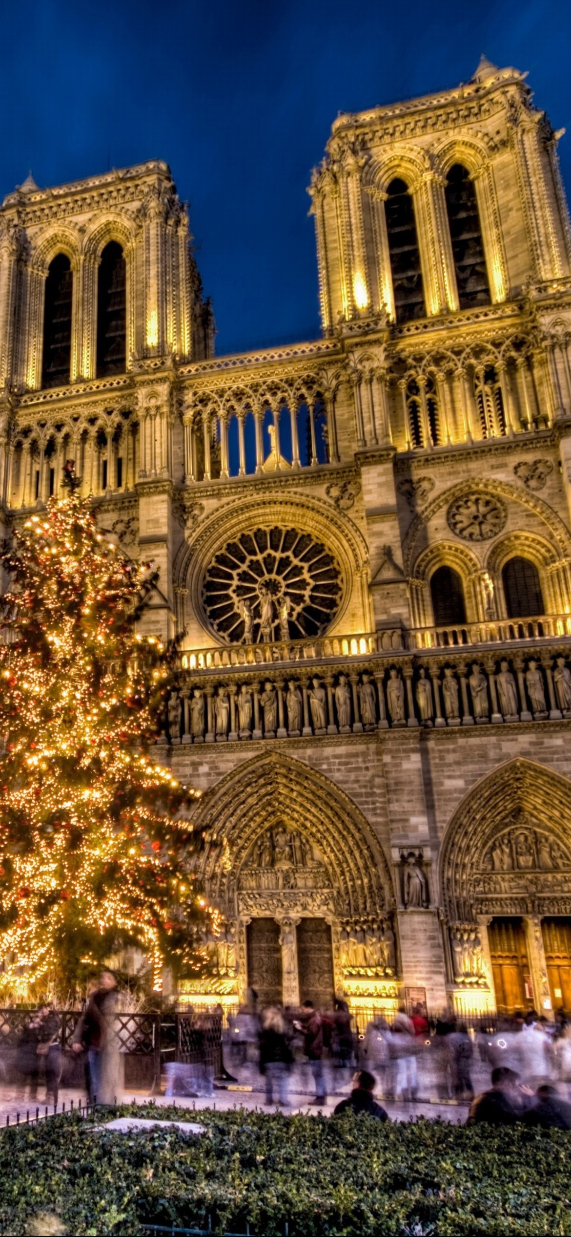 Notre-Dame Cathedral, Gothic masterpiece, Iconic landmark, Historical treasure, 1170x2540 HD Phone