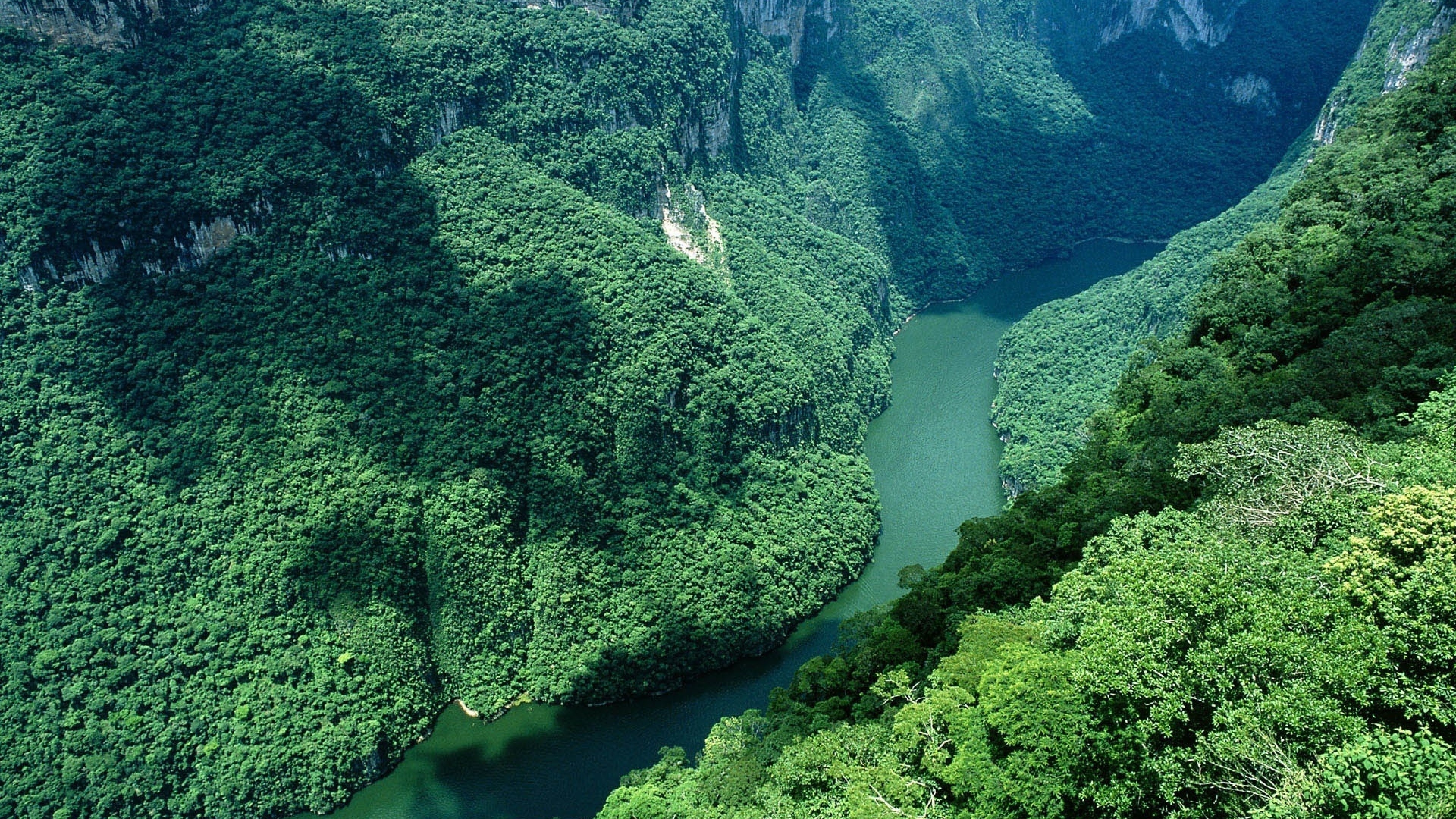 Sumidero Canyon, Amazon Rain Forest Wallpaper, 3840x2160 4K Desktop