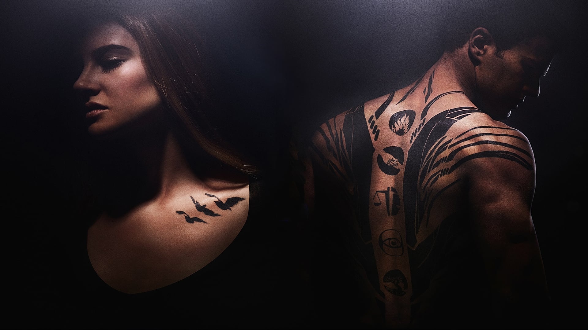 Divergent Factions, Movie backdrops, The Movie Database, TMDB, 1920x1080 Full HD Desktop