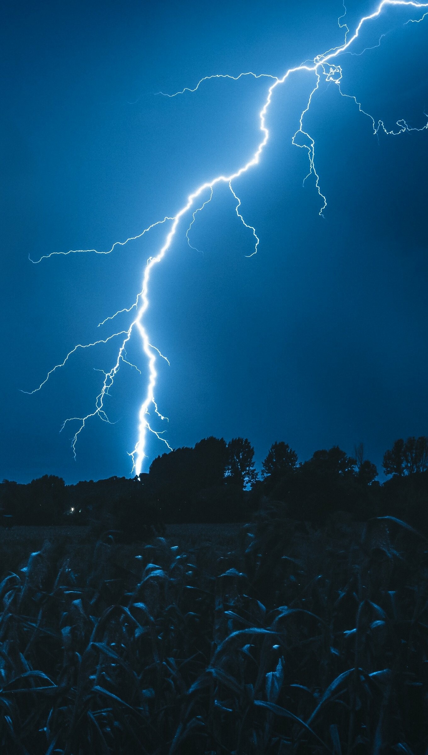 Lightning in cloudy sky, Striking 4K wallpaper, Dramatic atmosphere, Captivating nature, 1360x2400 HD Phone