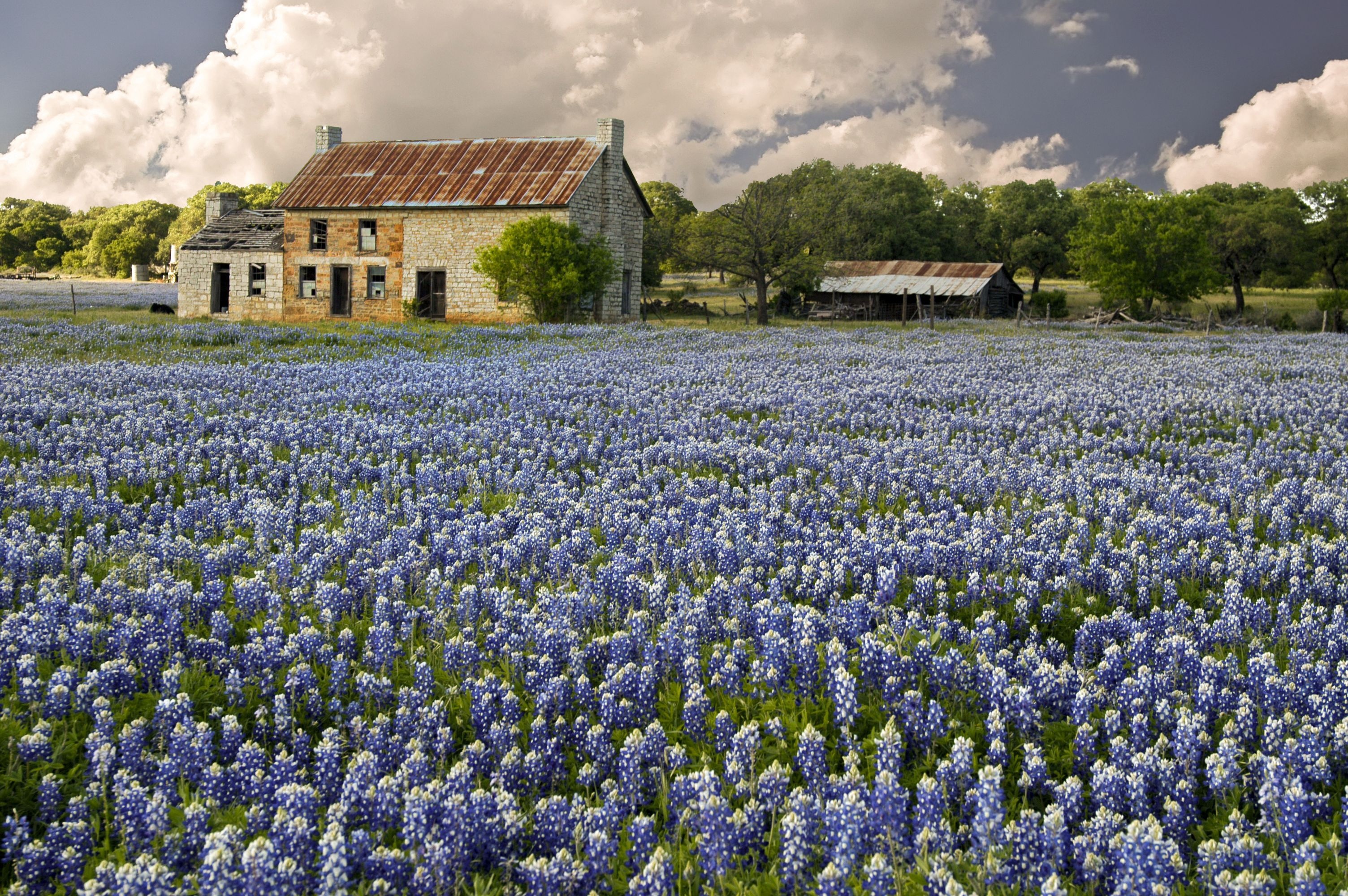 Texas Hill Country wallpapers, Stunning landscapes, Texas beauty, Nature's tranquility, 3010x2000 HD Desktop