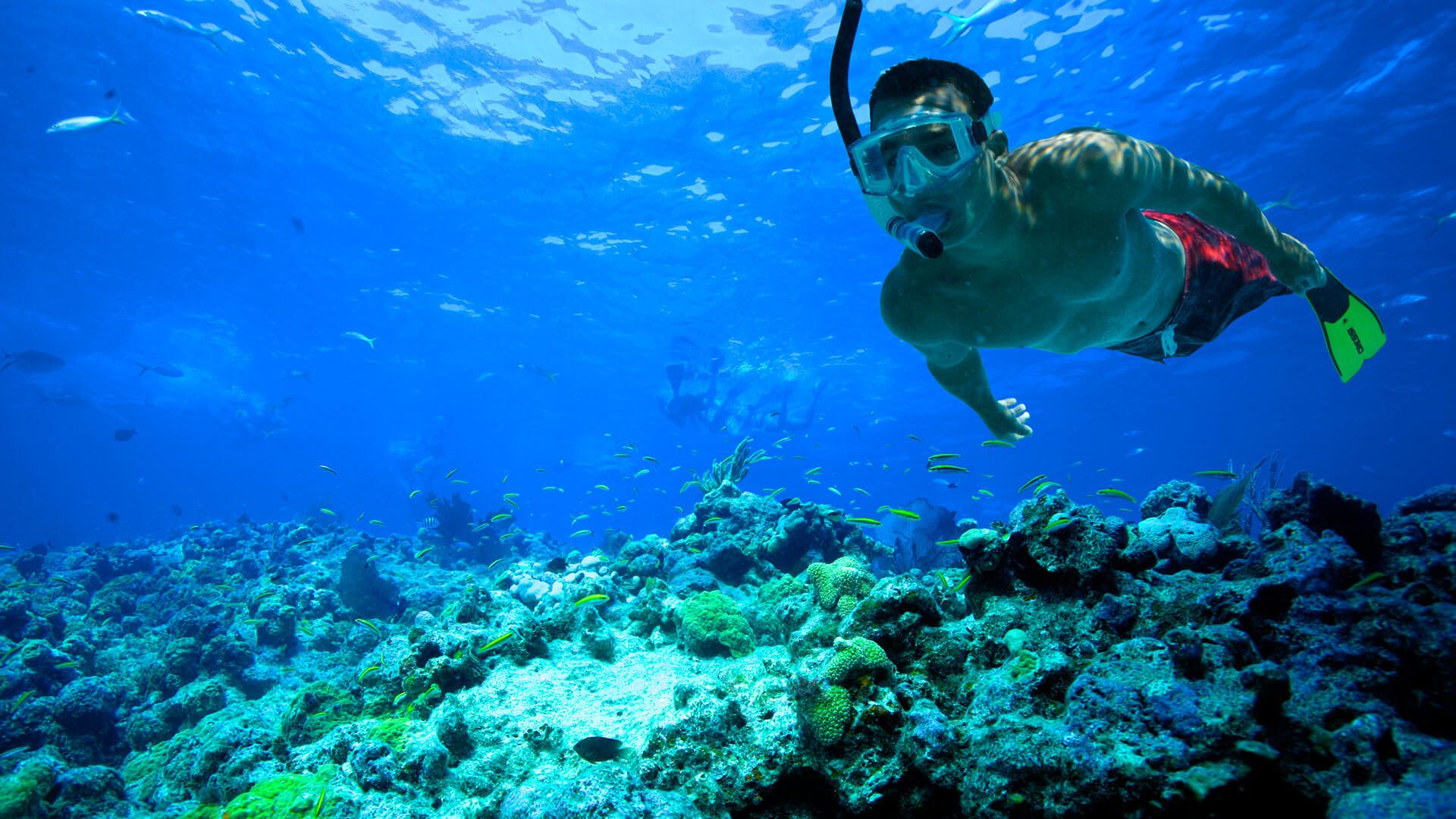 Key West, Snorkeling Wallpaper, 1920x1080 Full HD Desktop