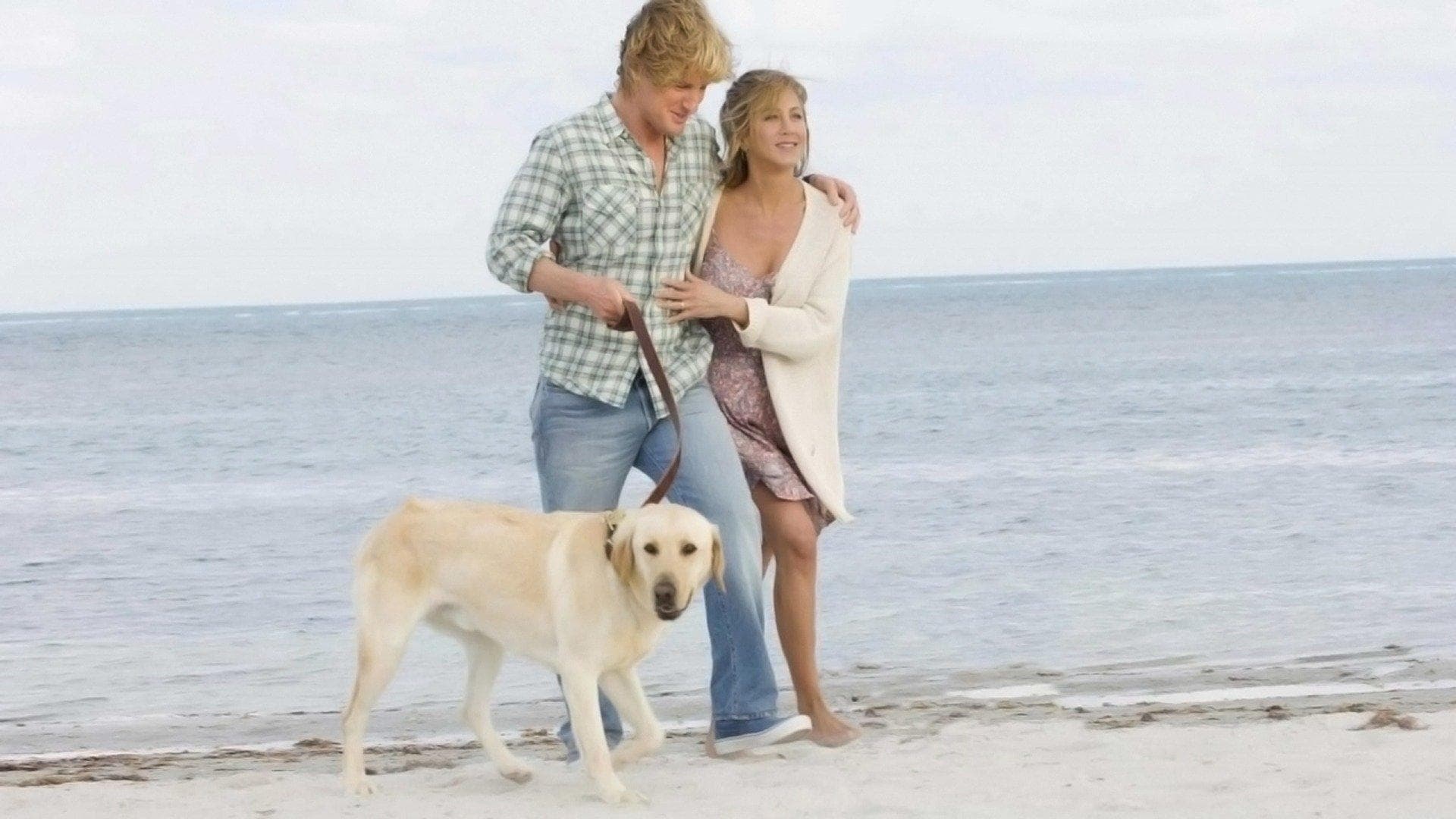 Marley and Me 2008, Heartwarming comedy, Unforgettable moments, Dog lover's delight, 1920x1080 Full HD Desktop