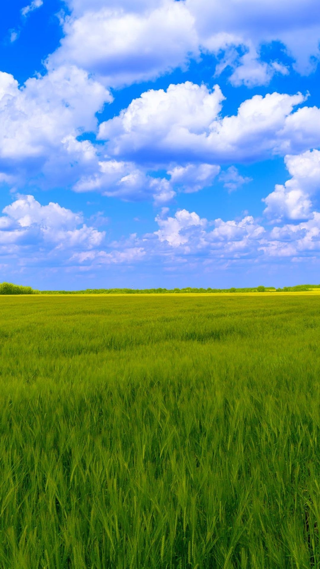 Tree clouds wallpaper, Heavenly atmosphere, Nature's serenity, Peaceful setting, 1080x1920 Full HD Phone