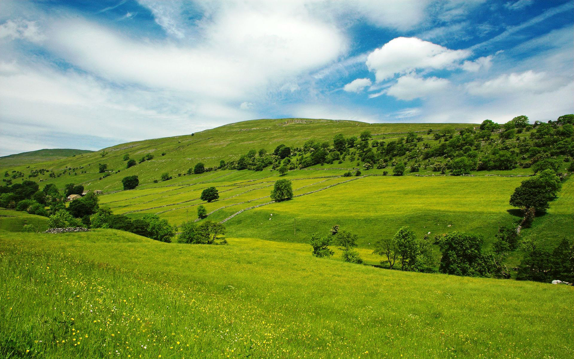 Scenery nature 70092, Grassland green wallpapers, 70092, 1920x1200 HD Desktop