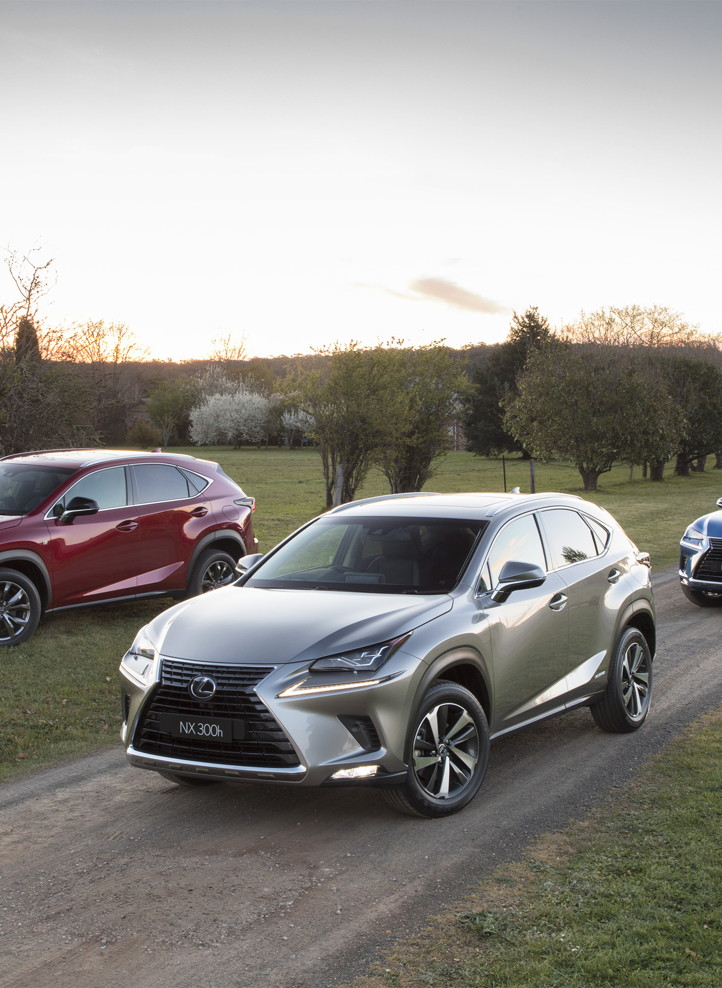 Lexus NX, QHD wallpaper, Samsung Galaxy, HD image, 1440x1970 HD Phone