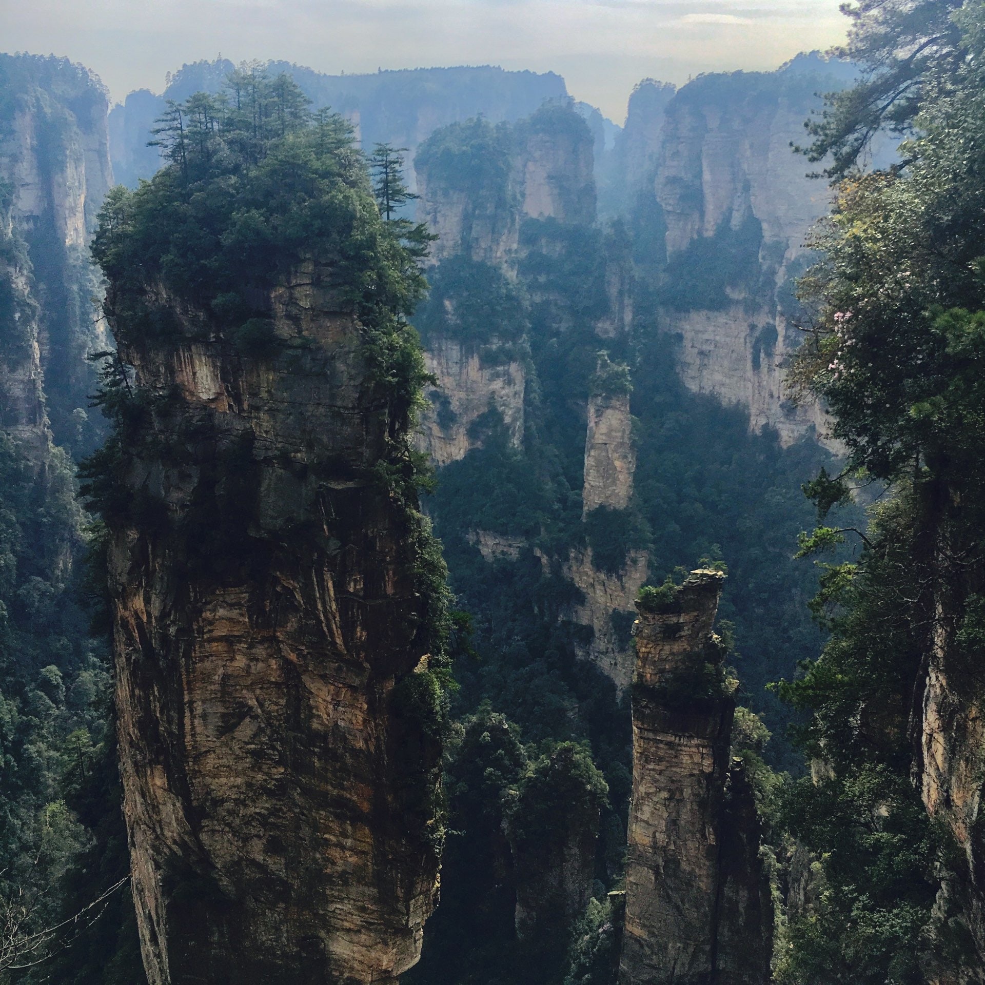 Zhangjiajie National Forest Park, Avatar mountains, Zhangjiajie travel, Natural habitat, 1920x1920 HD Phone