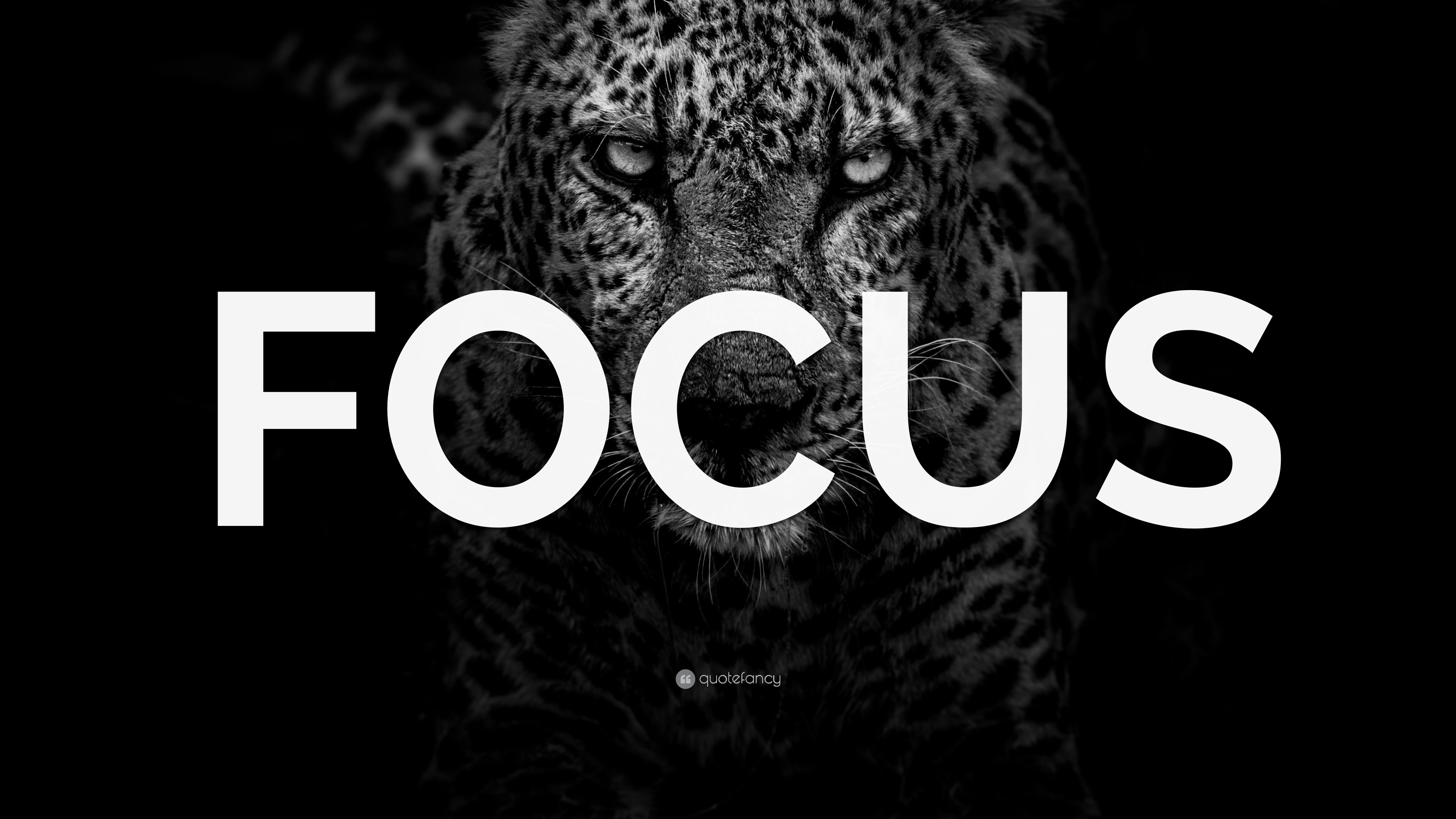 focus, determination, productivity, laser focus, clarity, 3840x2160 4K Desktop