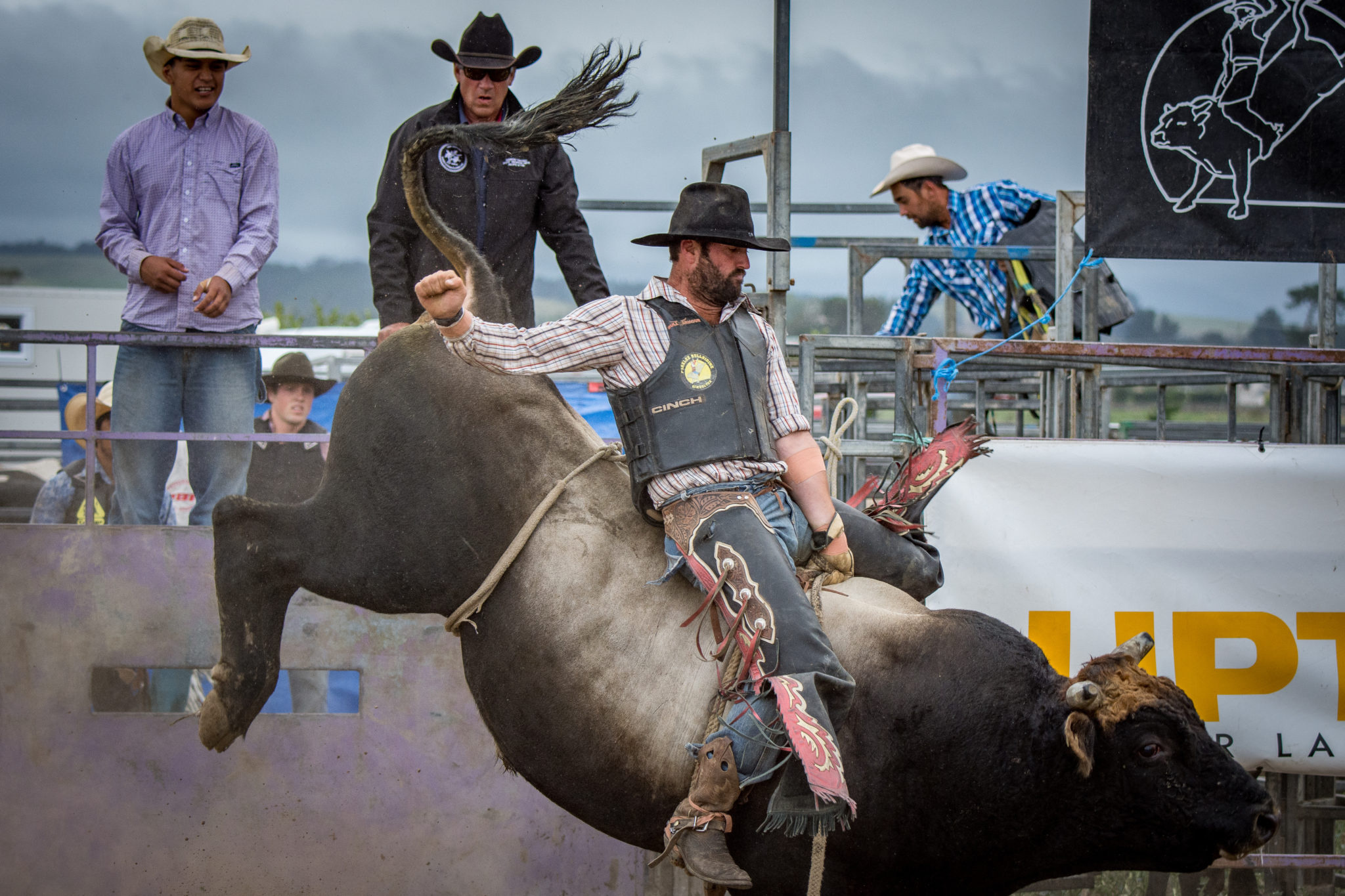 Martinborough Parklee Bullride, Bullriding Wallpaper, 2050x1370 HD Desktop