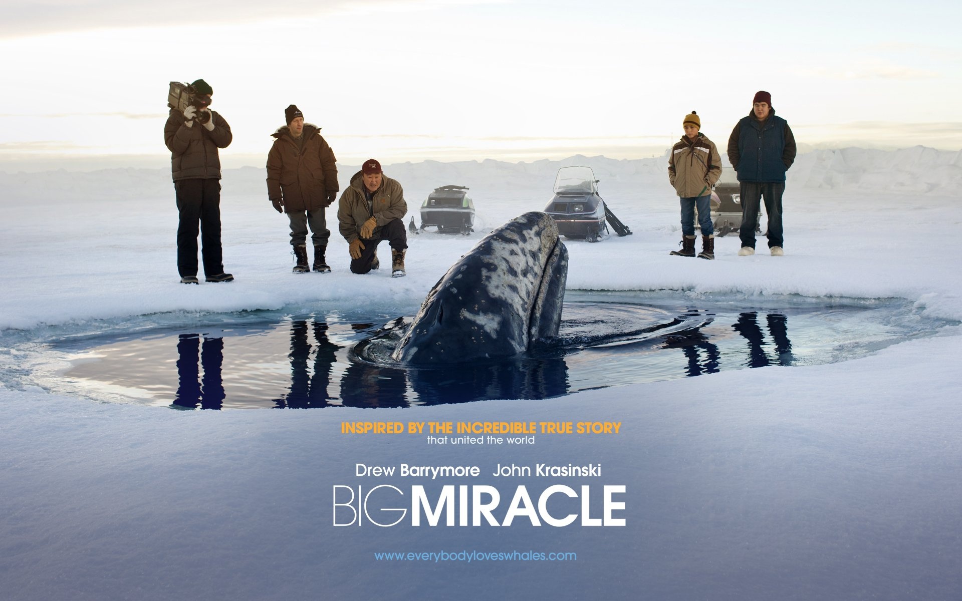 Big Miracle HD wallpaper, Beautiful imagery, Visual splendor, Memorable backdrop, 1920x1200 HD Desktop