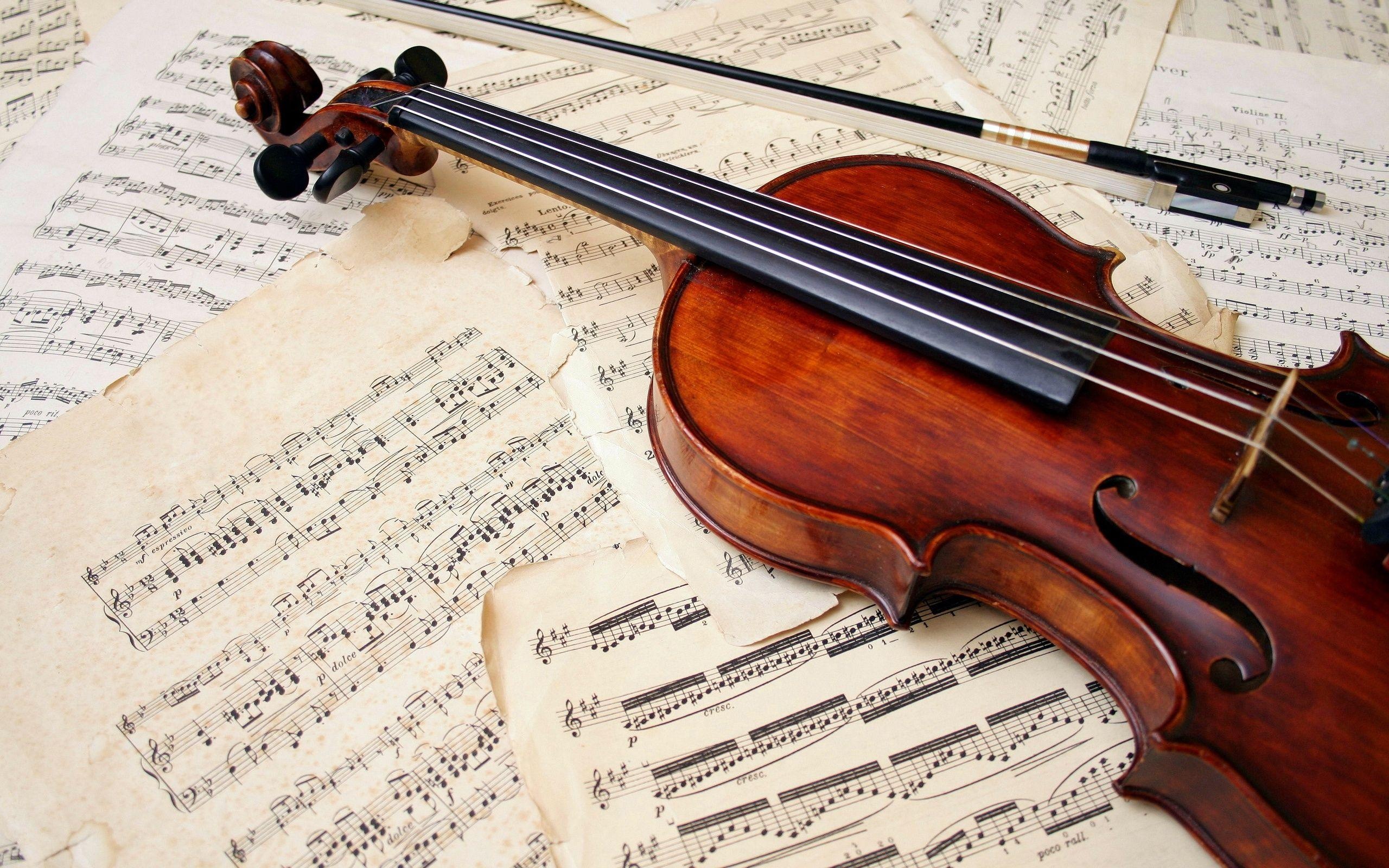 Viola music, Viola wallpapers, Musical inspiration, Stringed beauty, 2560x1600 HD Desktop