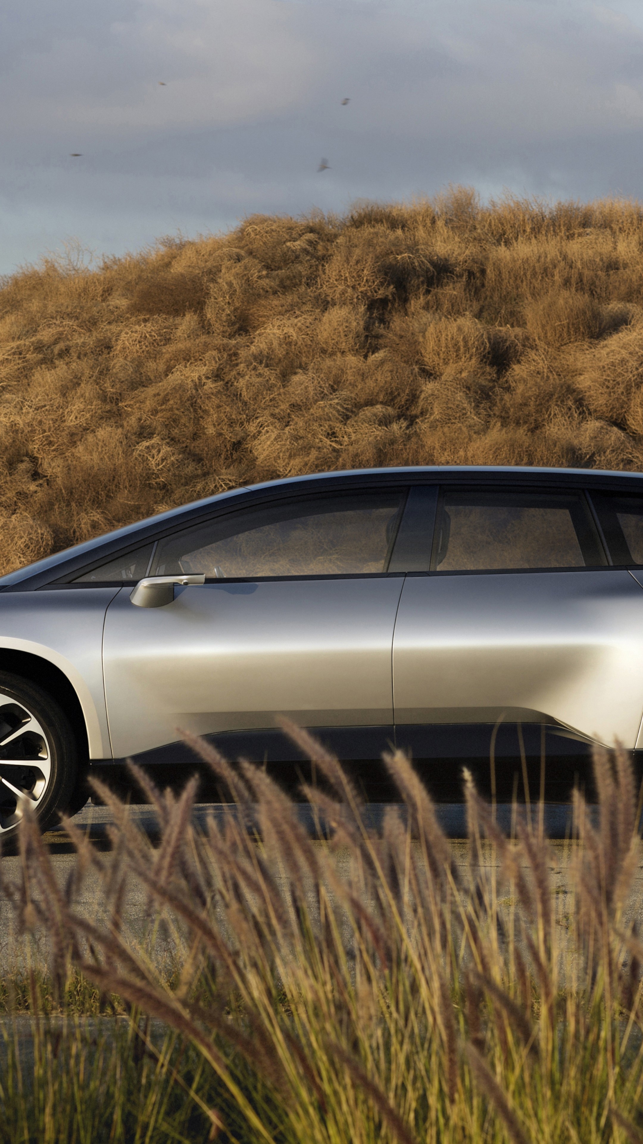 Faraday Future, FF91, Electric cars, Frac, 2160x3840 4K Phone