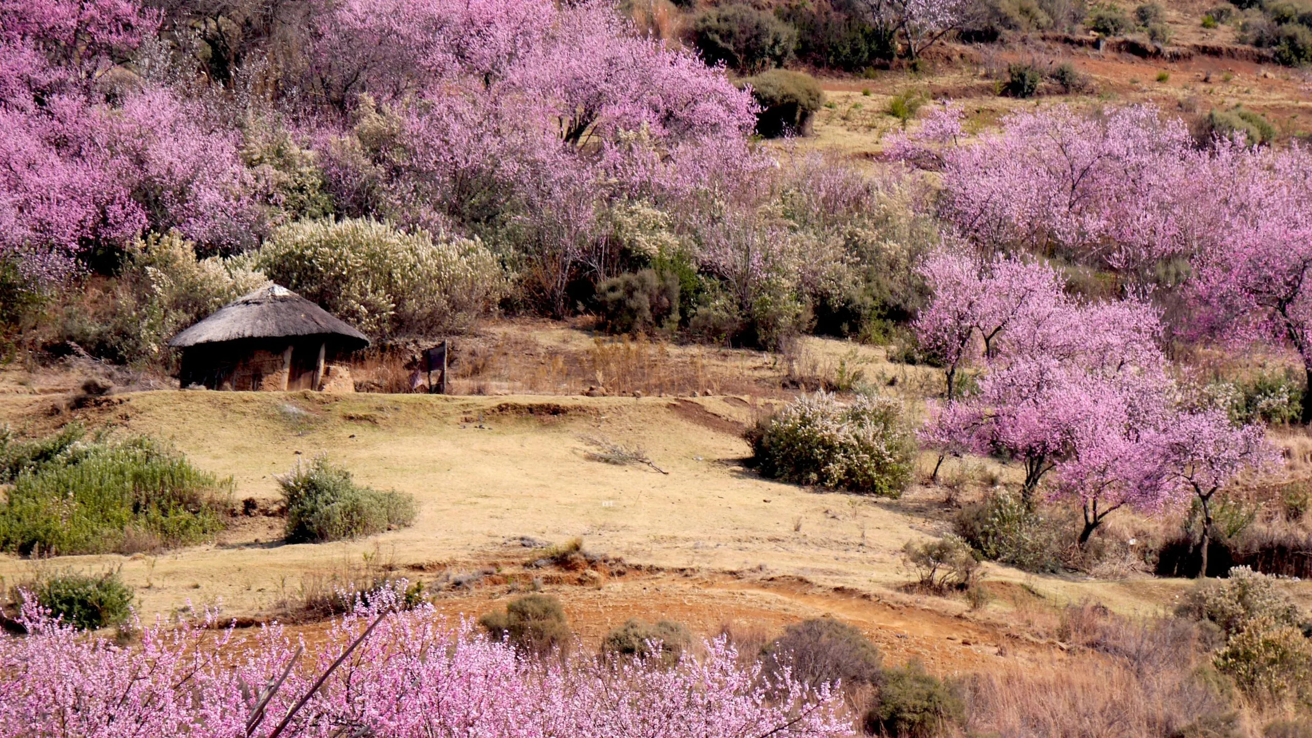 Lesotho travels, A 2022 travel guide, Adeafrica, 2560x1440 HD Desktop