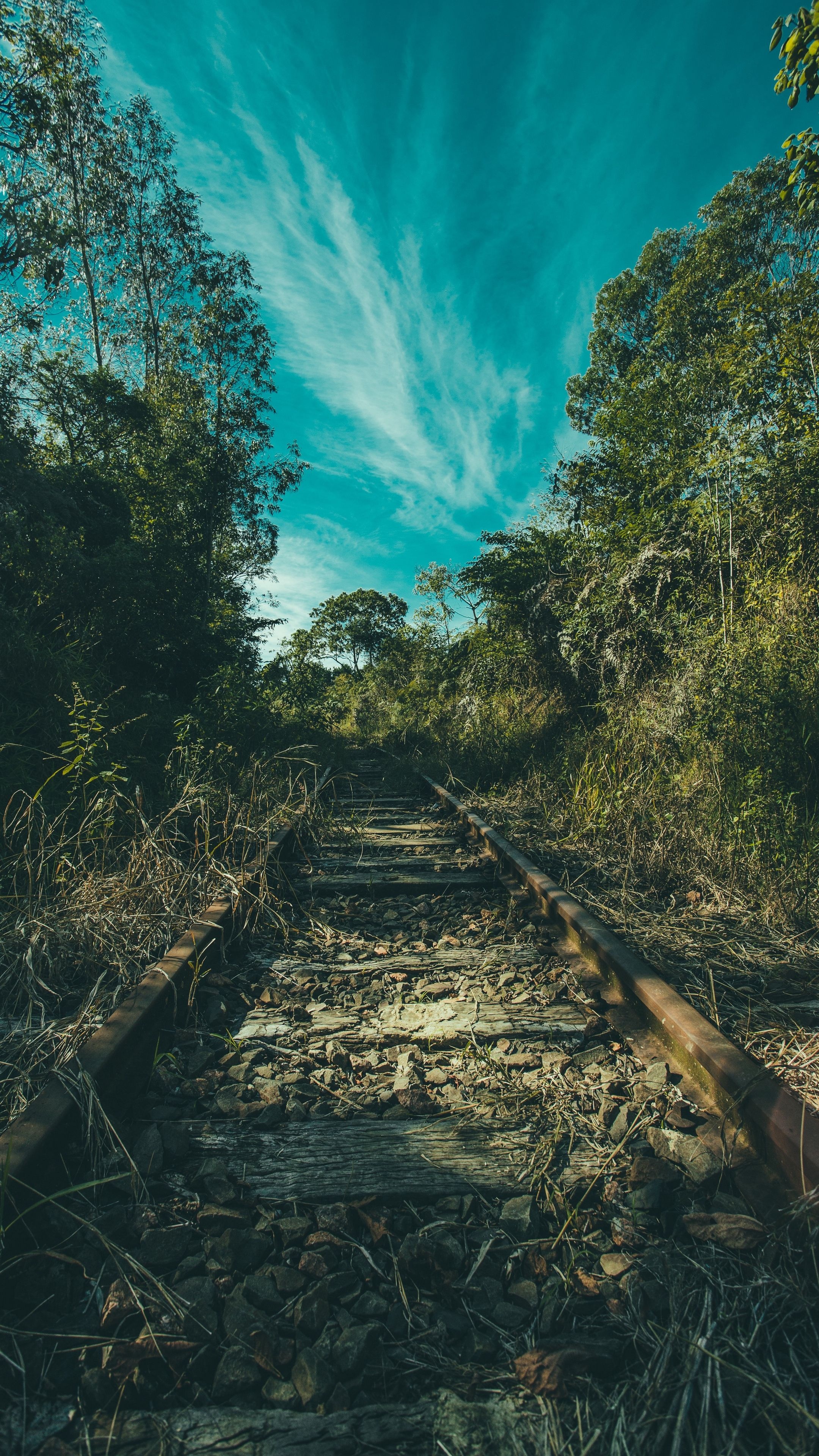 Railway, Serene nature, Trees and grass, HD wallpaper, 2160x3840 4K Phone