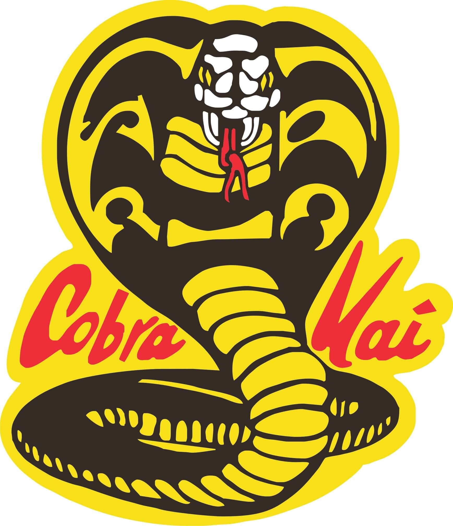 Cobra Kai, Awesome wallpapers, HD quality, Cobra Kai franchise, 1740x2020 HD Phone