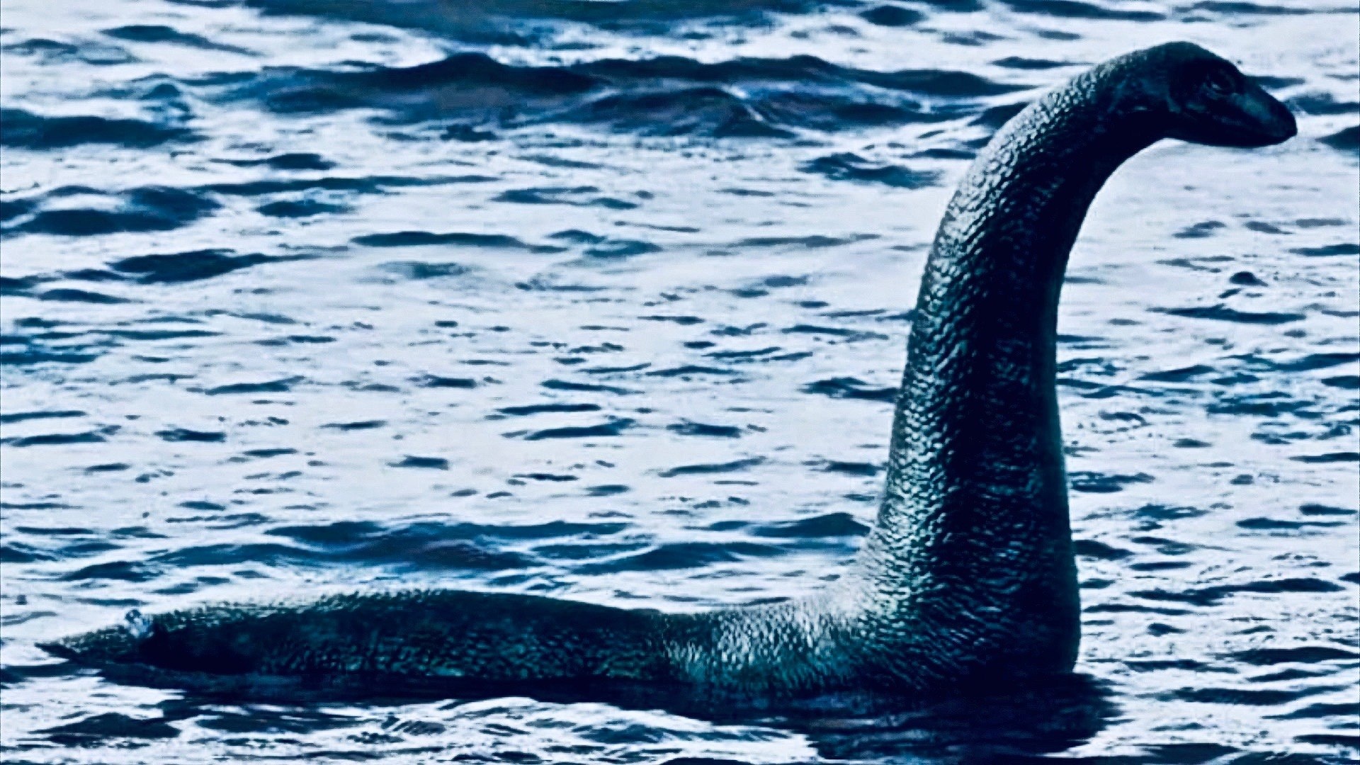 Loch Ness Monster, Wallpaper, Sarah Anderson, Cryptid fascination, 1920x1080 Full HD Desktop