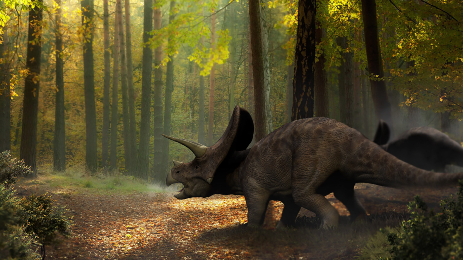 Triceratops, Popular wallpapers, Dinosaur wallpapers, Mesozoic era, 1920x1080 Full HD Desktop