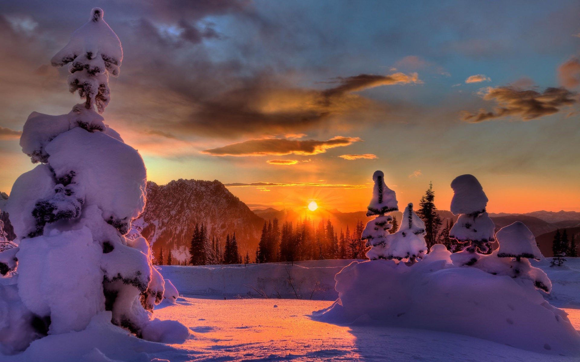 Mount Rainier National Park, HD Wallpapers, Natural Beauty, Captivating Backgrounds, 1920x1200 HD Desktop