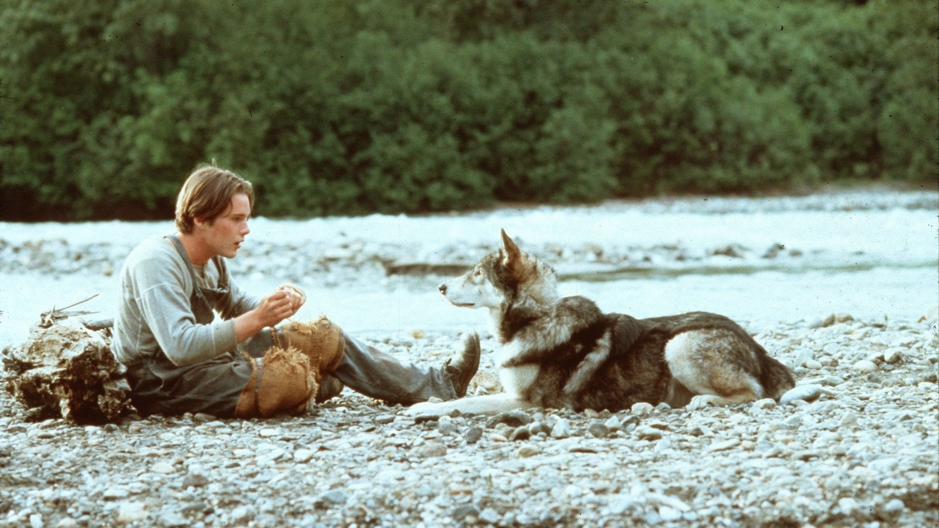 White Fang (Movie), White Fang 1991, Movie database, 1920x1080 Full HD Desktop