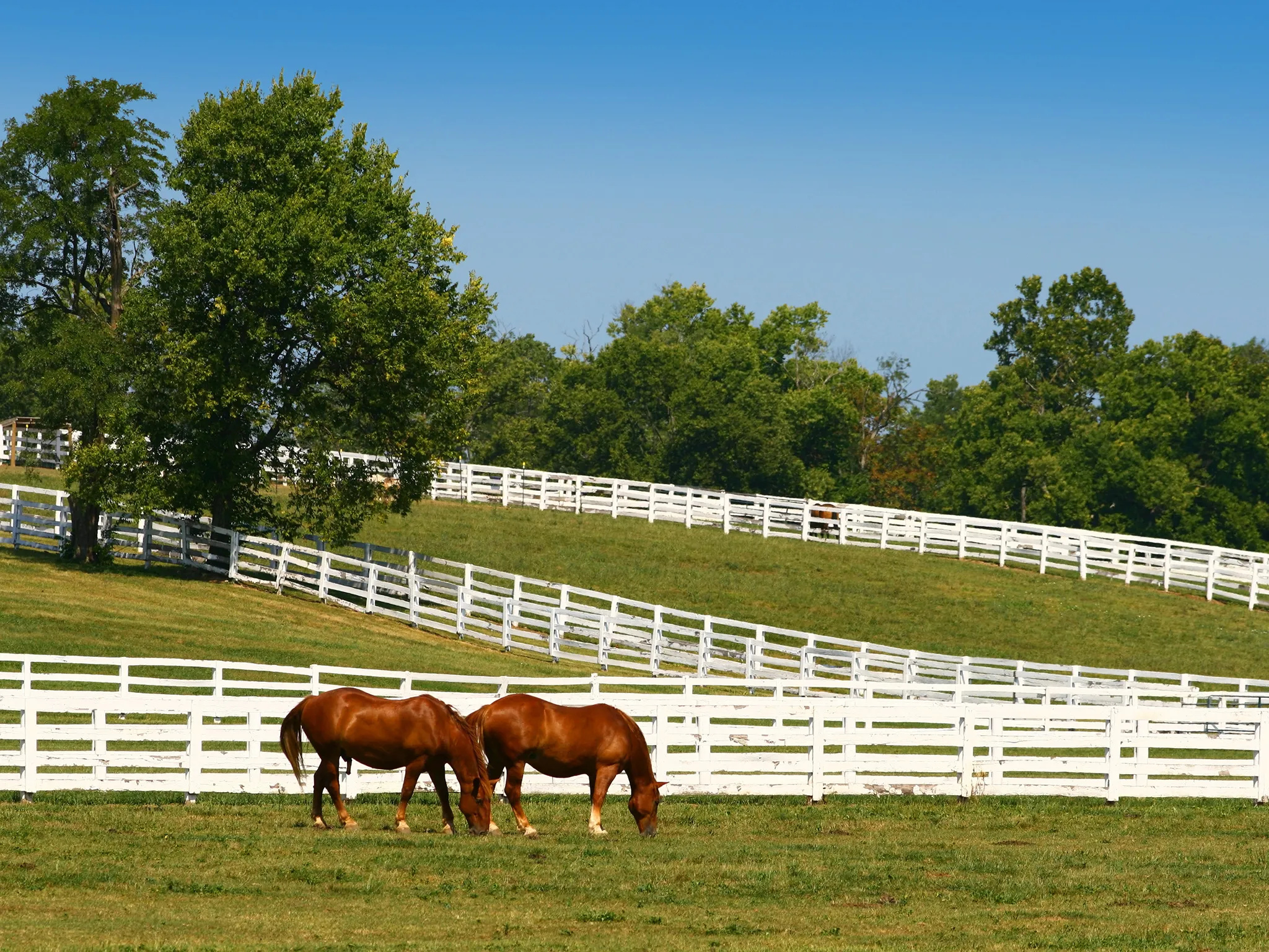 Lexington travels, Perfect itinerary, Cond Nast Traveler, Must-see spots, 2050x1540 HD Desktop