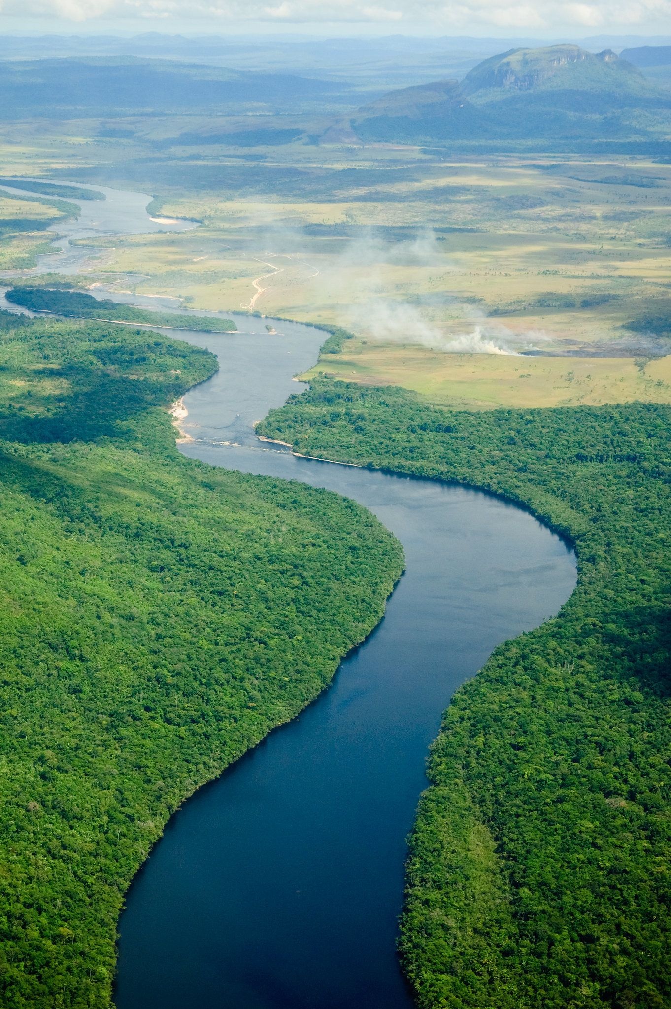 Amazon River, Cruise adventure, South American travel, Exotic nature, 1370x2050 HD Phone