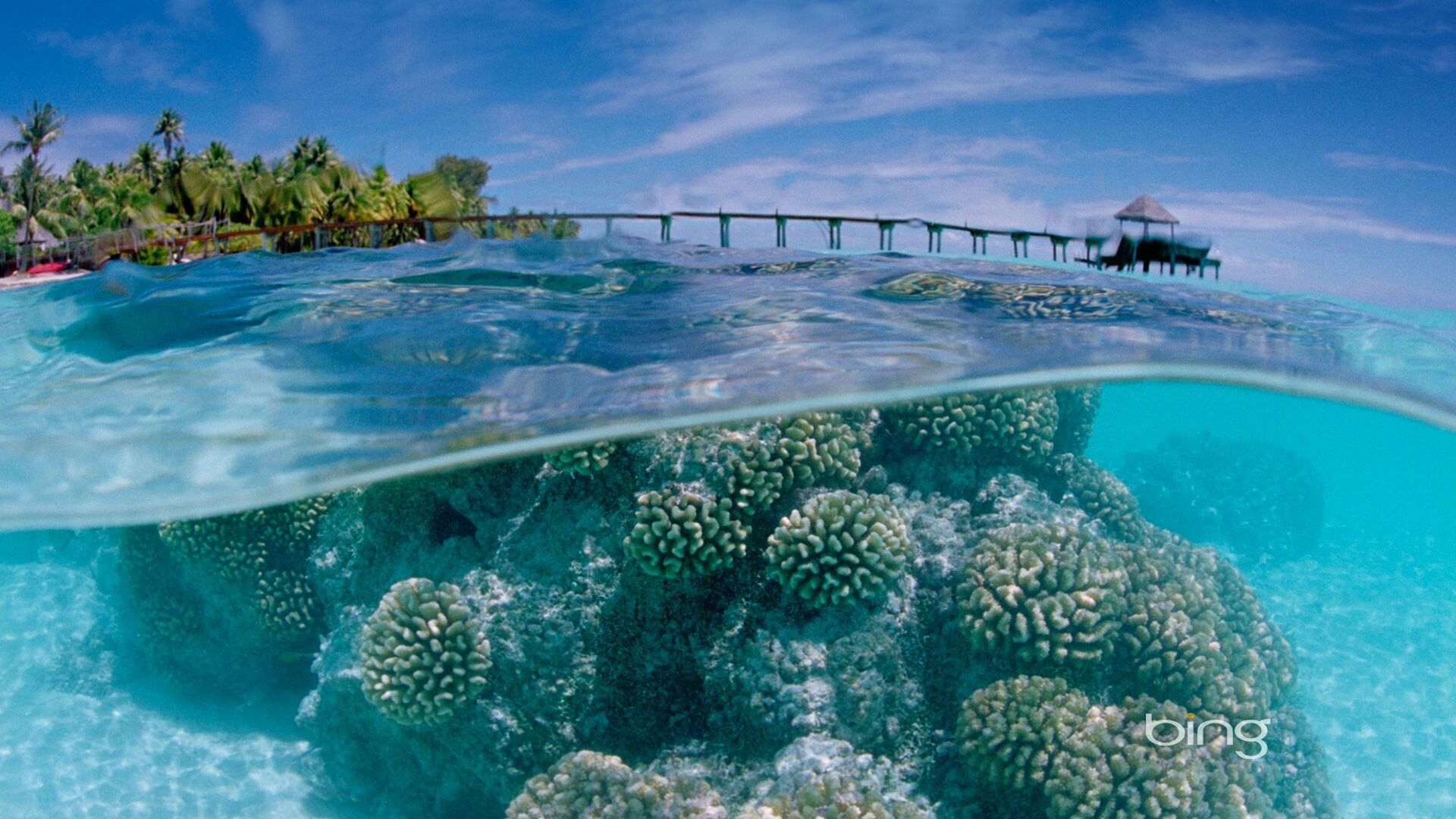 Great Barrier Reef, Reef wallpaper, 1920x1080 Full HD Desktop