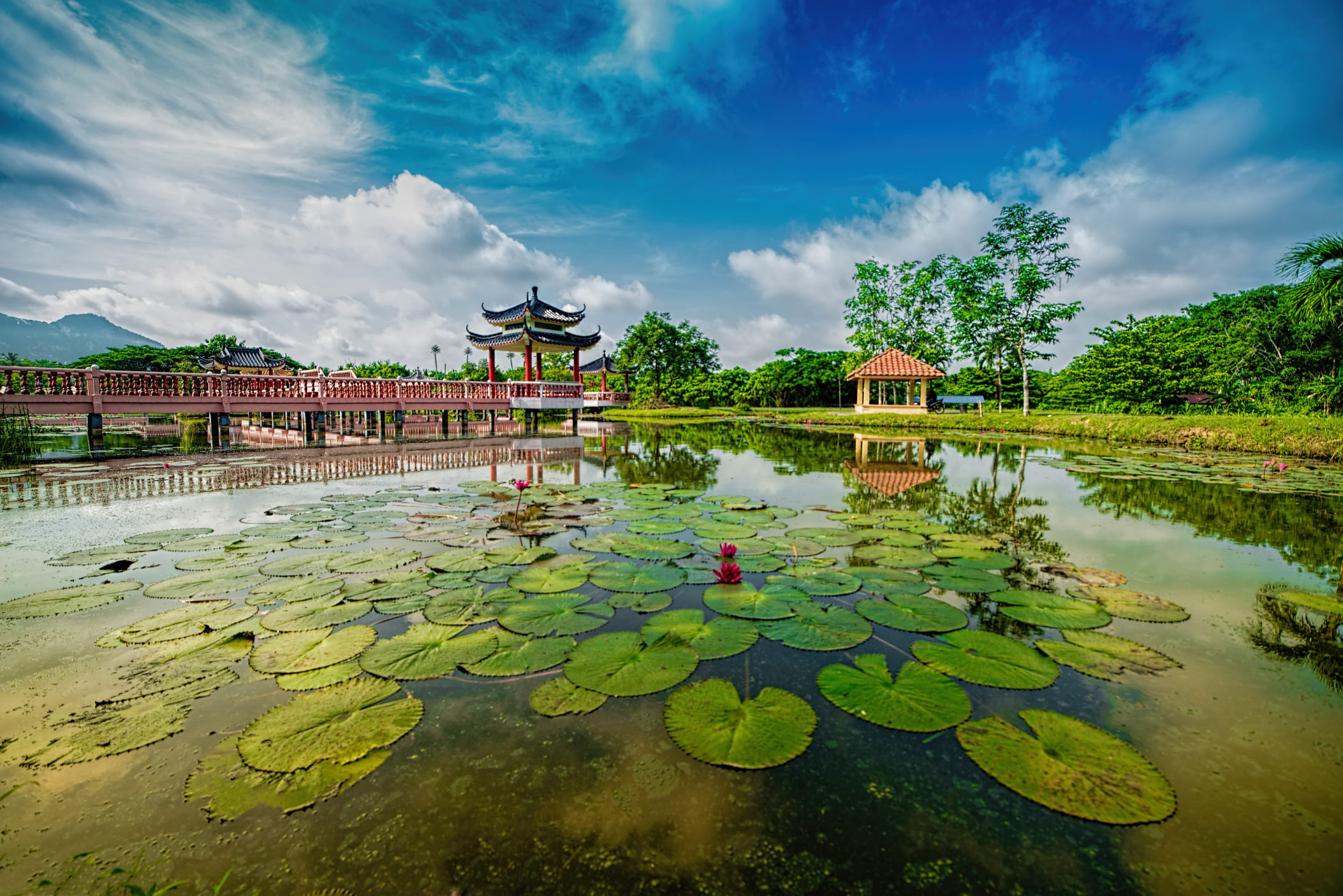 Tasik Melati Recreational Park, Malaysia Wallpaper, 2110x1410 HD Desktop