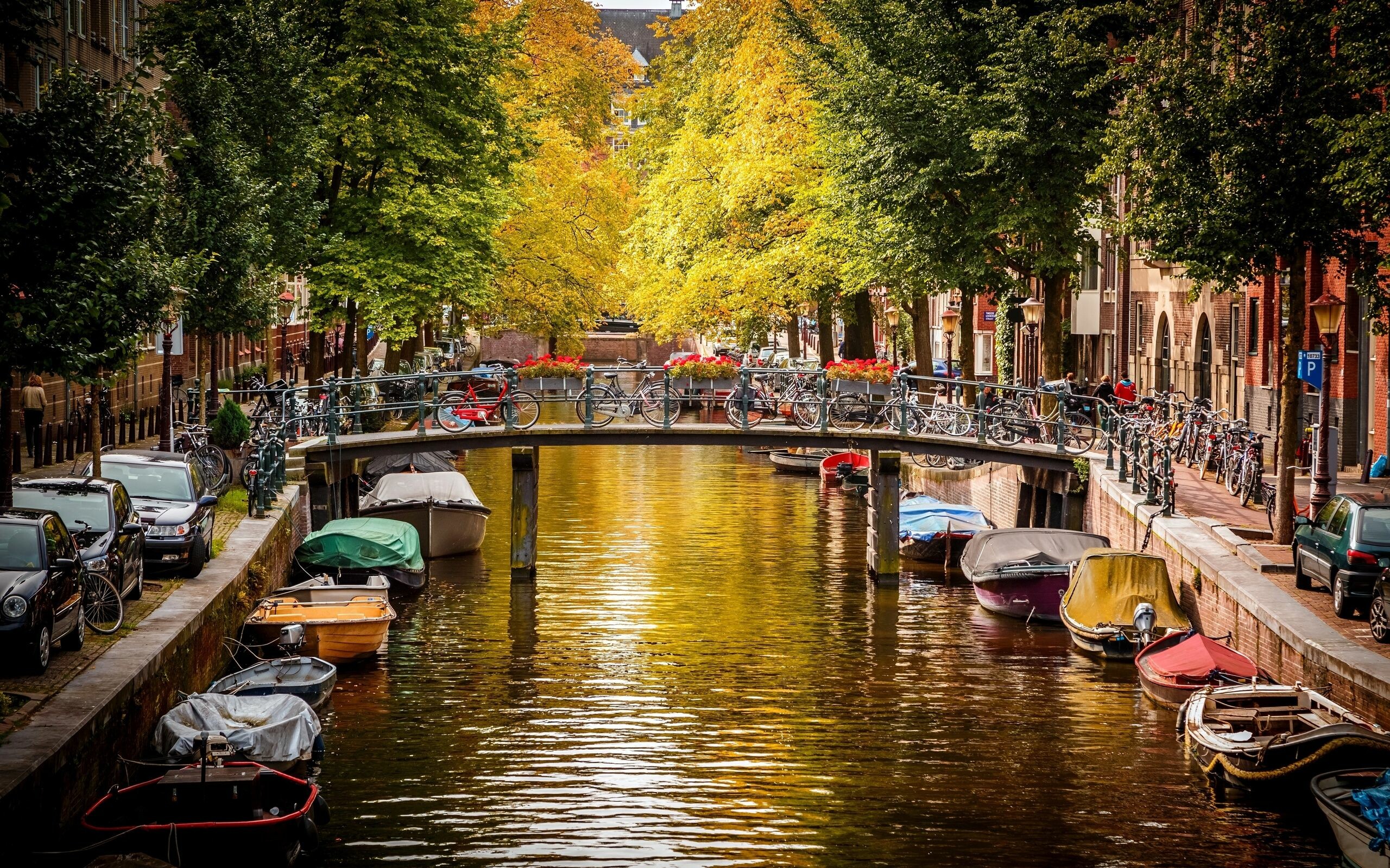 Amsterdam, Netherlands Wallpaper, 2560x1600 HD Desktop