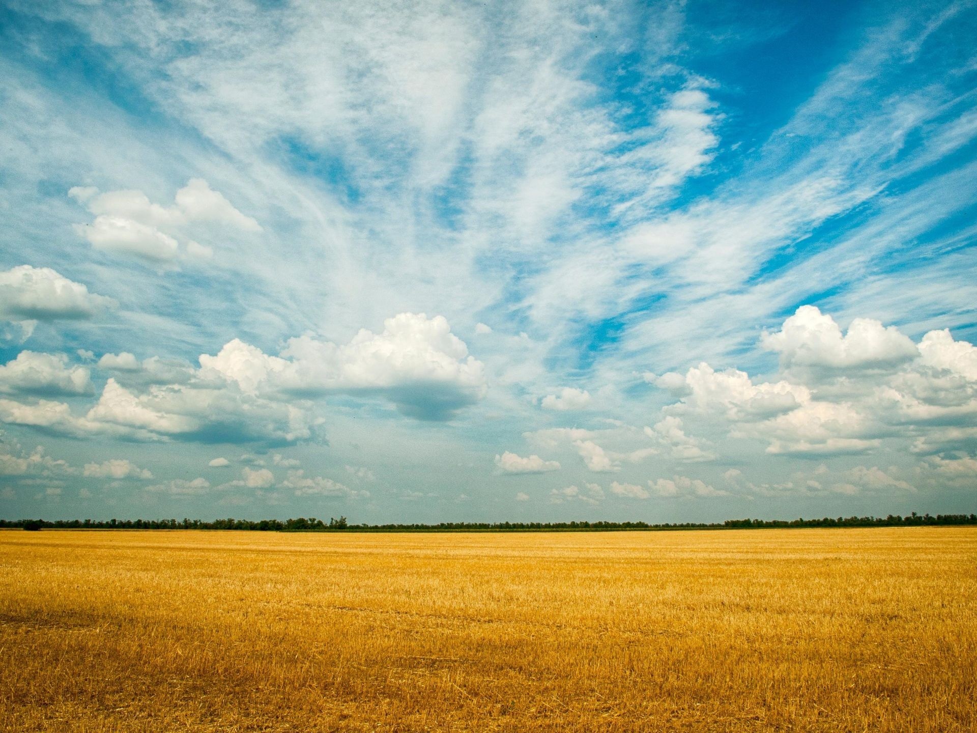 Farm field nature, 4K wallpapers, Rural splendor, Bucolic charm, 1920x1440 HD Desktop